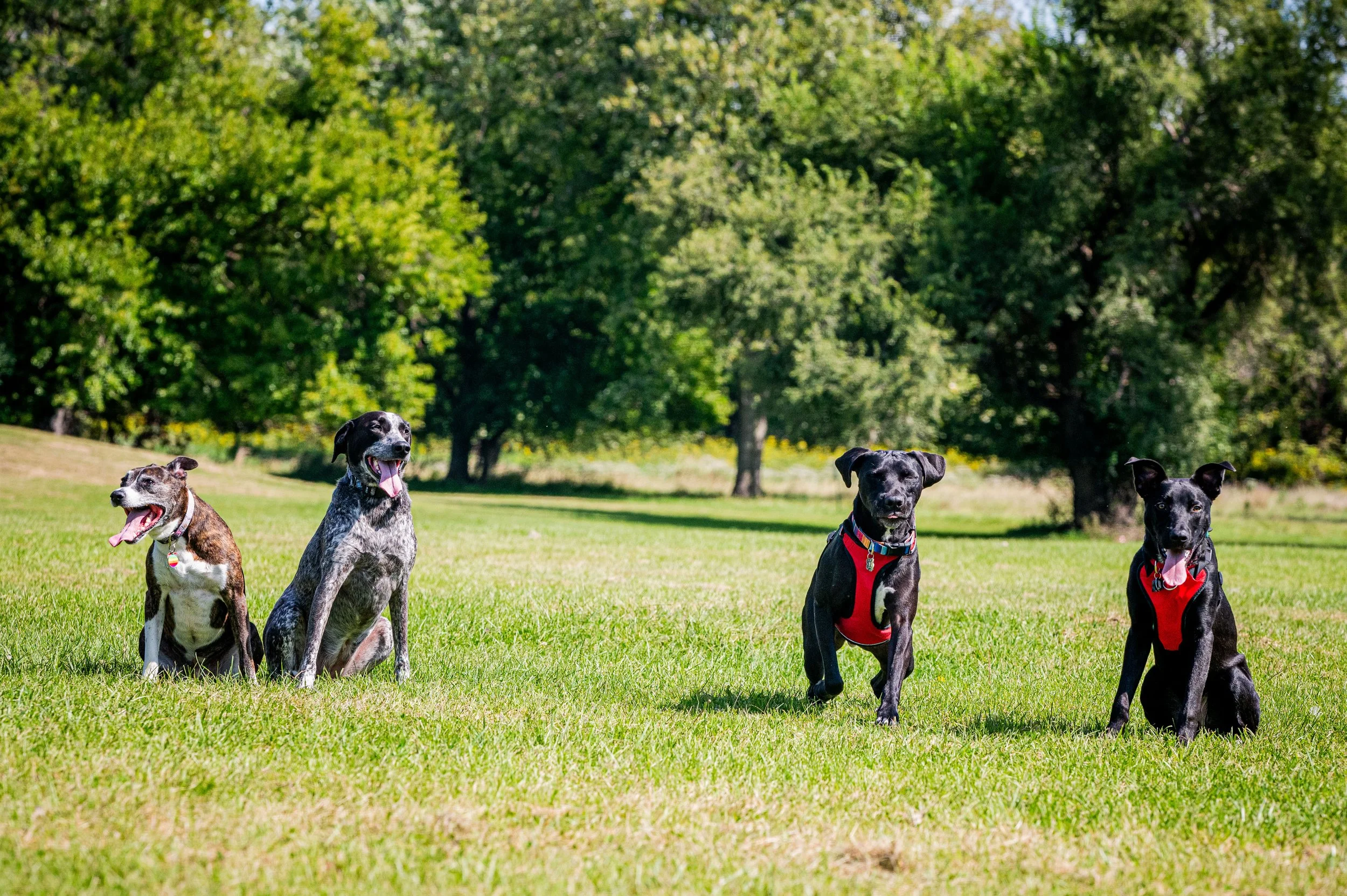 AMVPhotographs.com - AMV_1261.JPG