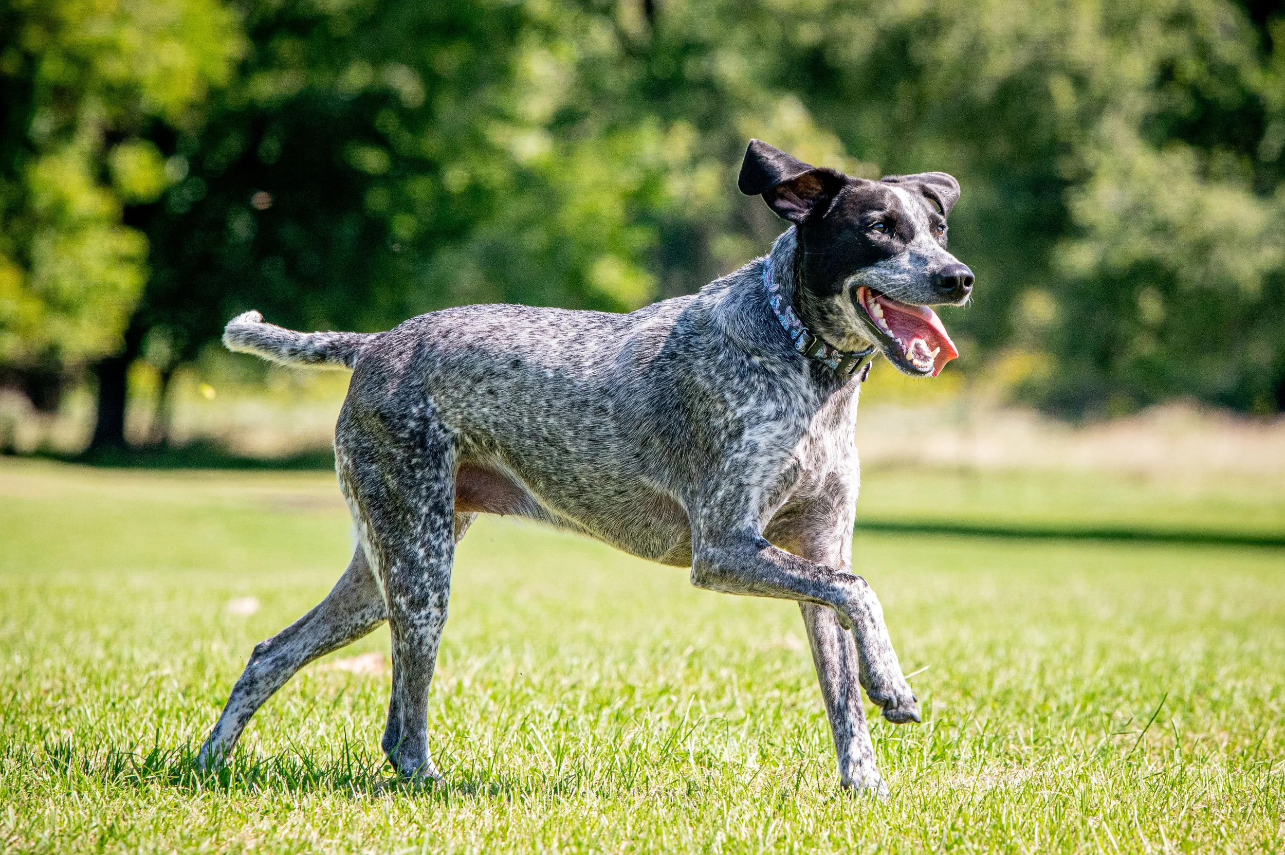 AMVPhotographs.com - AMV_1163.JPG