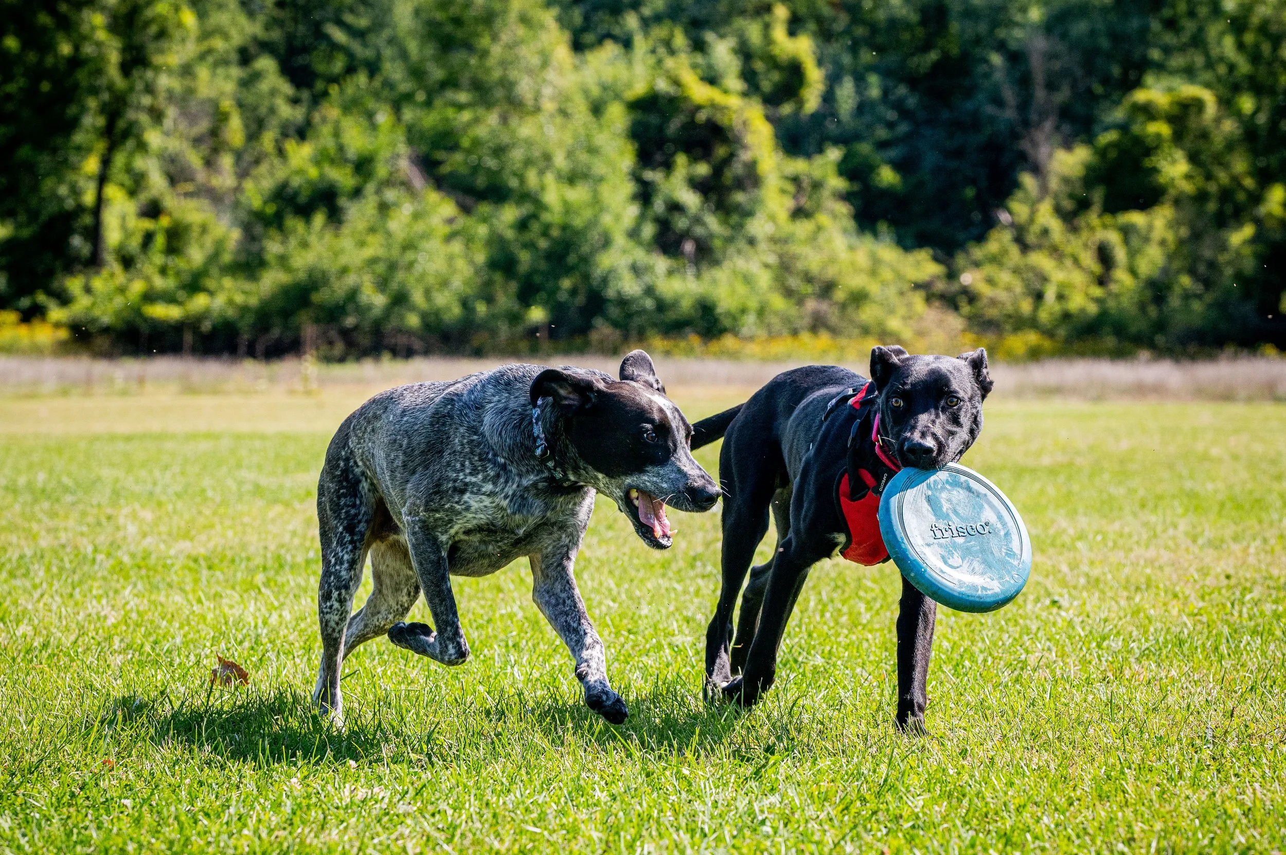 AMVPhotographs.com - AMV_1028.JPG