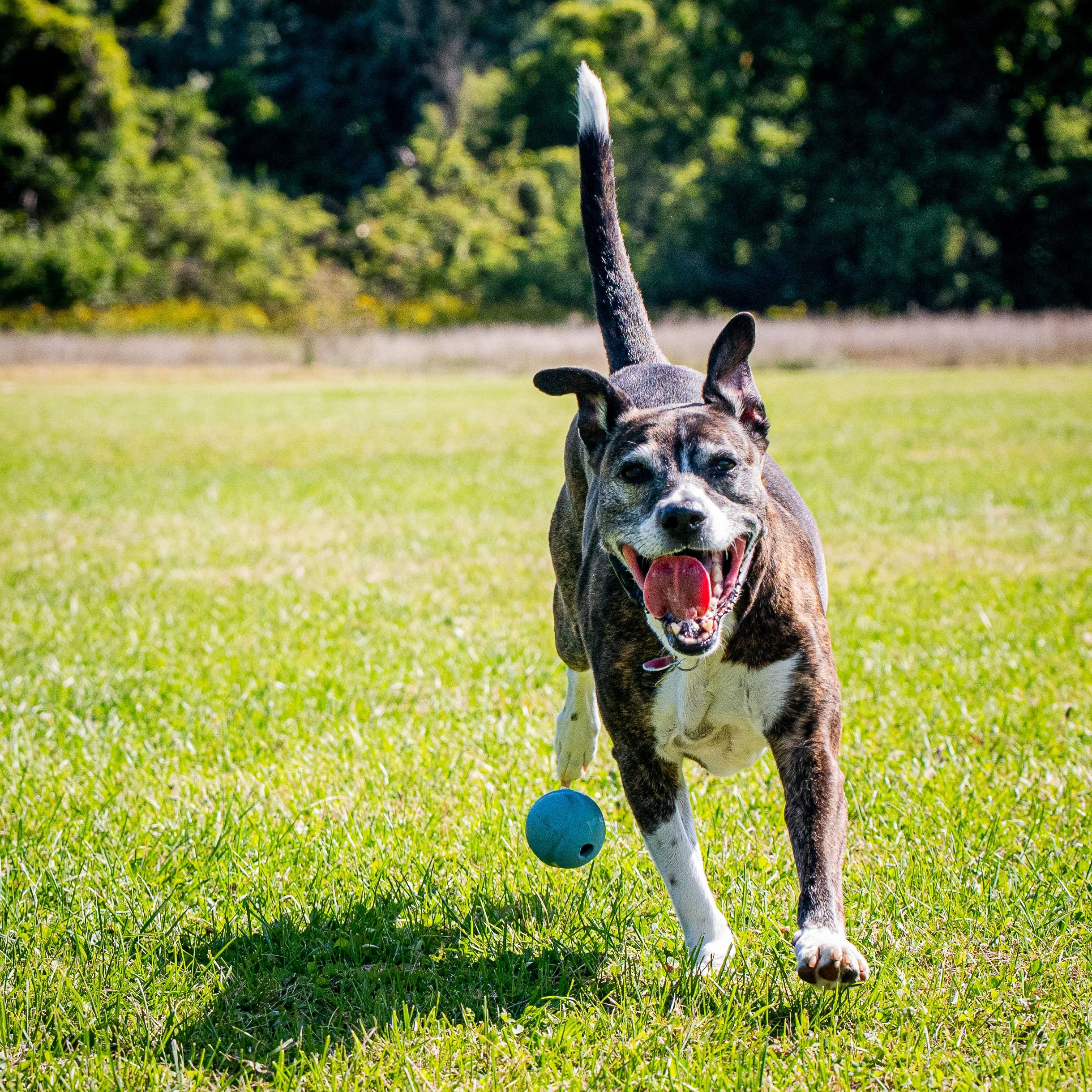 AMVPhotographs.com - AMV_0951.JPG