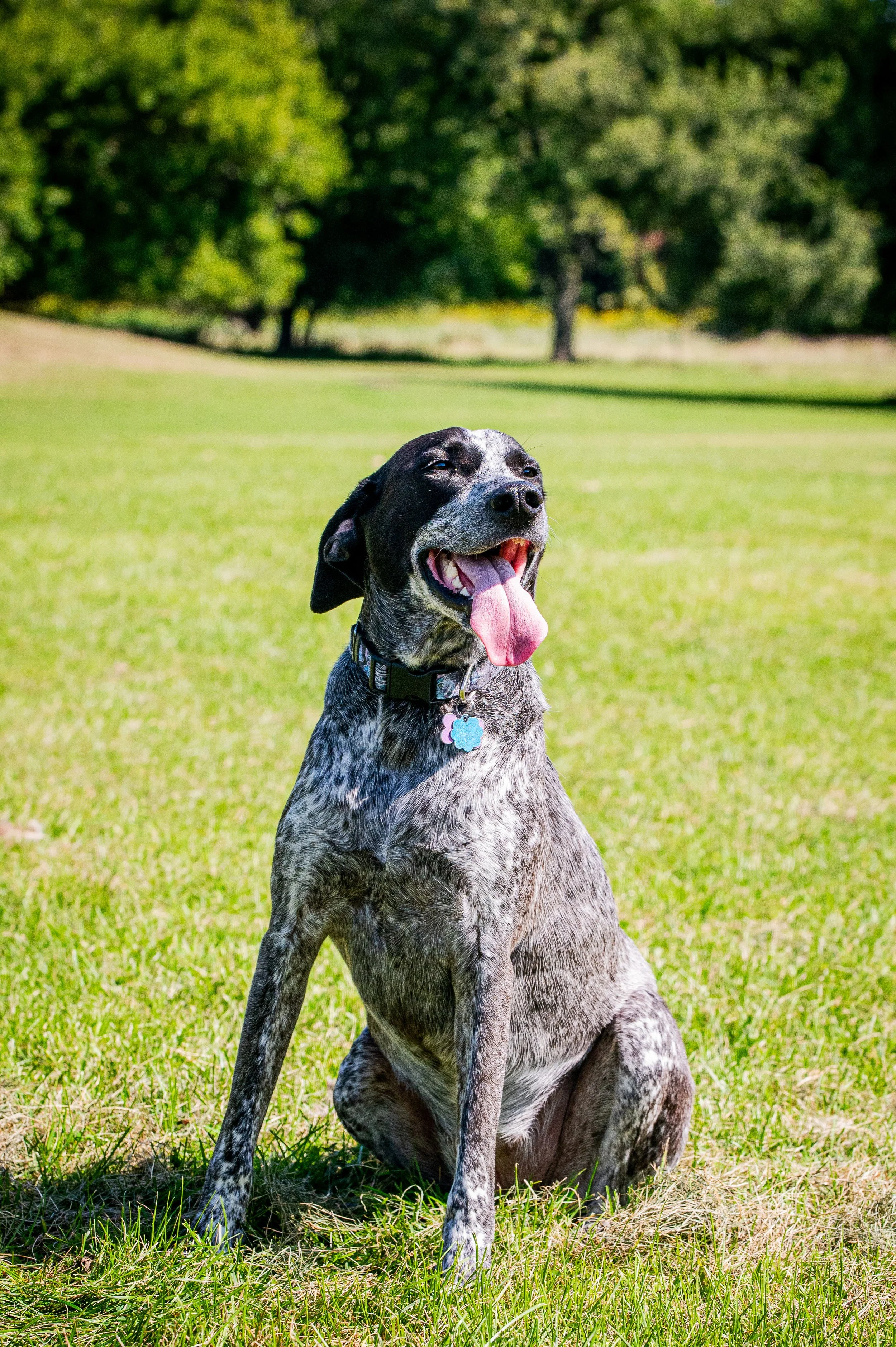 AMVPhotographs.com - AMV_1174.JPG