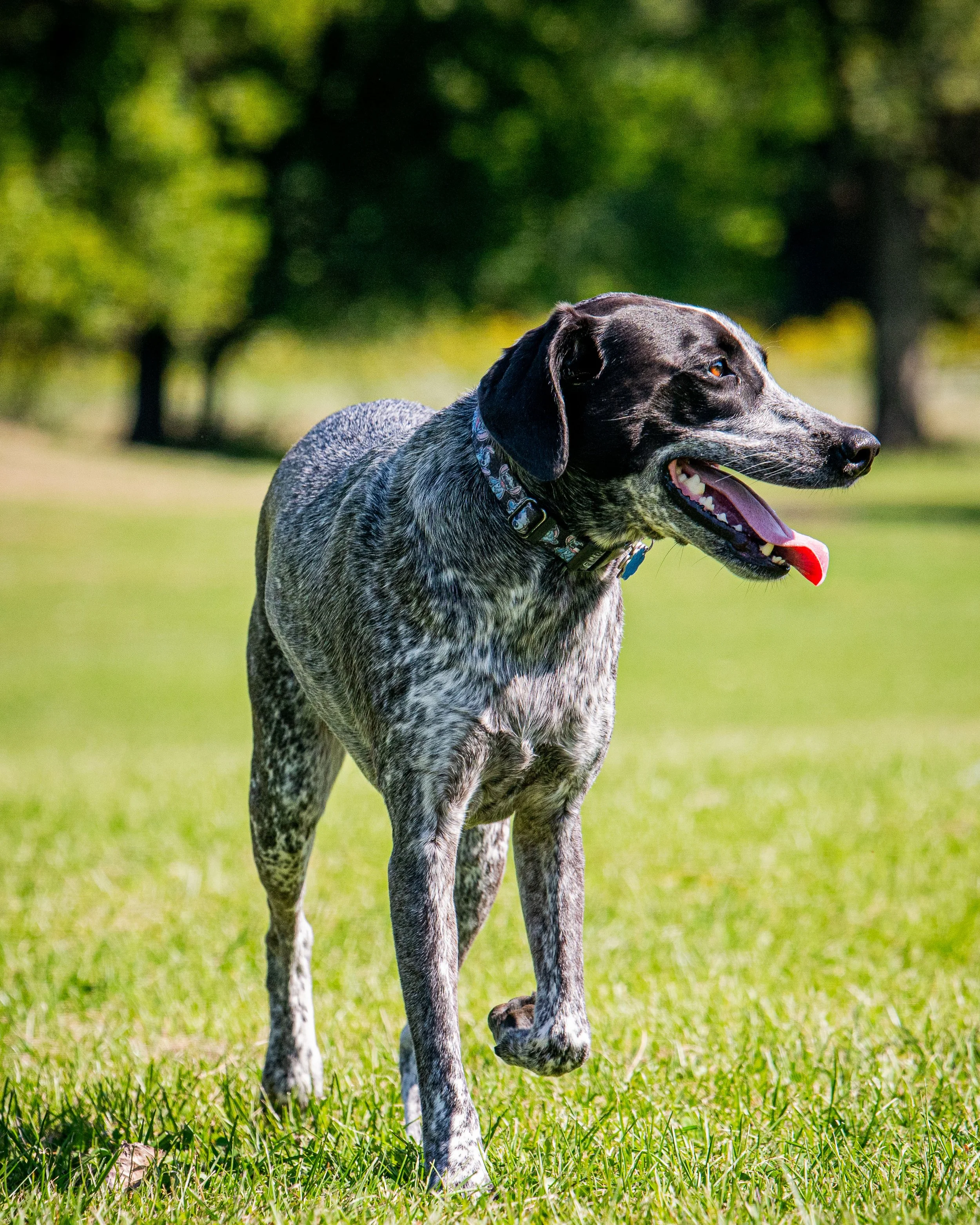 AMVPhotographs.com - AMV_0987.JPG