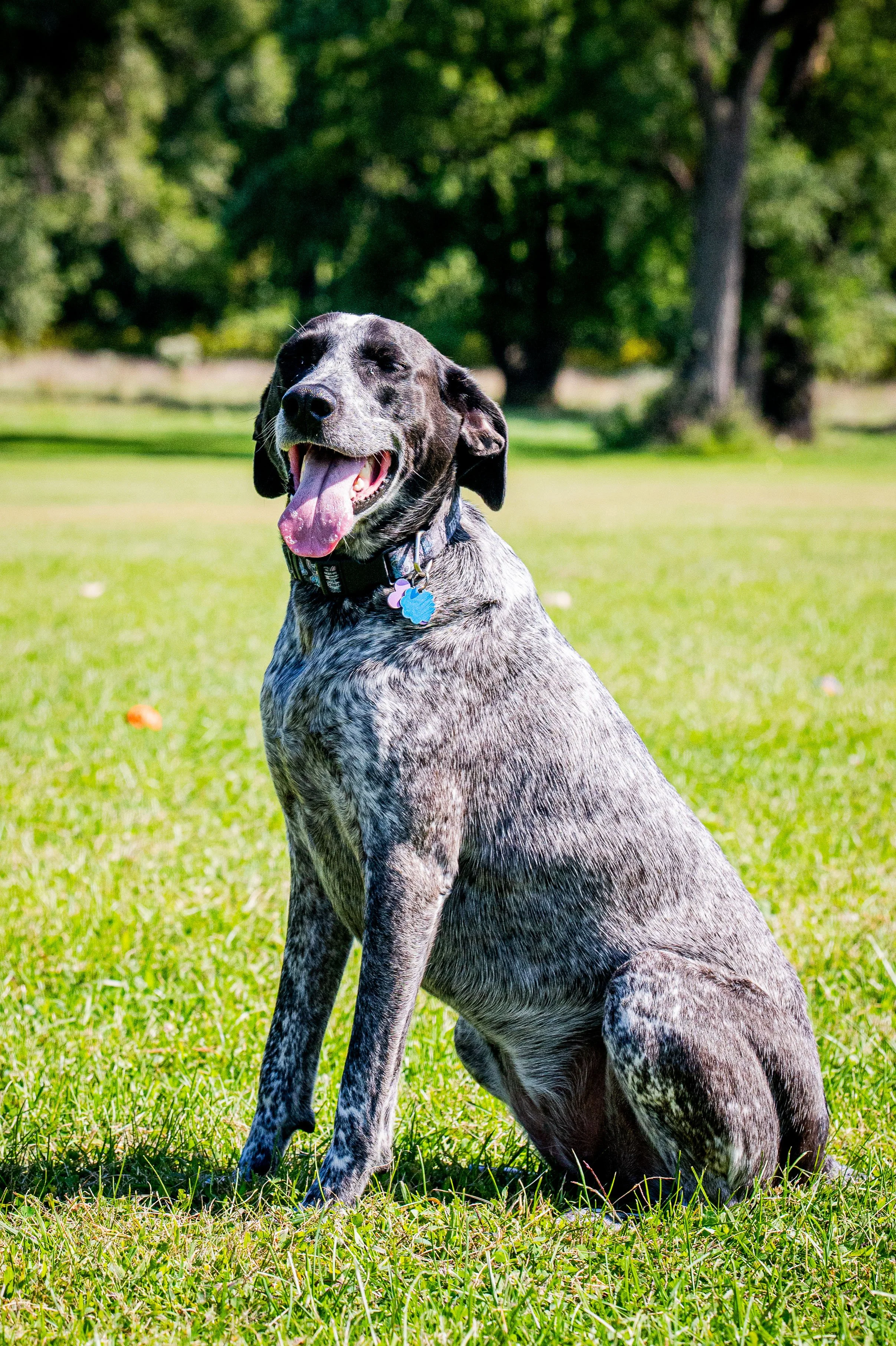 AMVPhotographs.com - AMV_1076.JPG