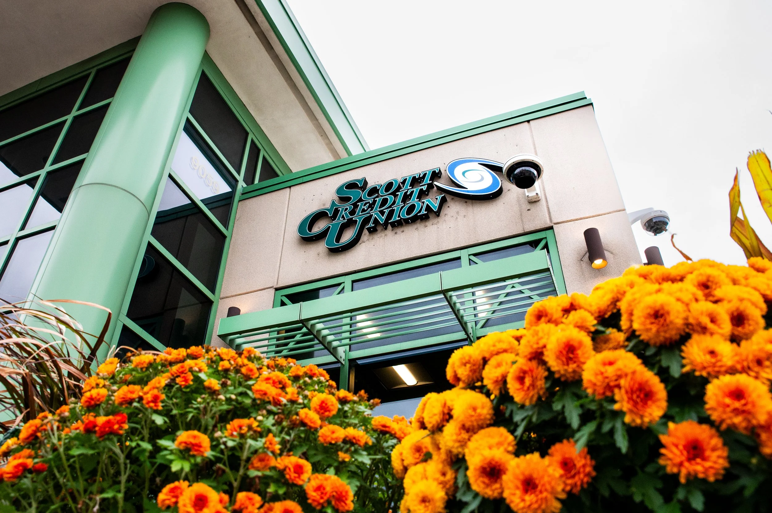 AMVPhotographs.com - AMV_3176.JPG