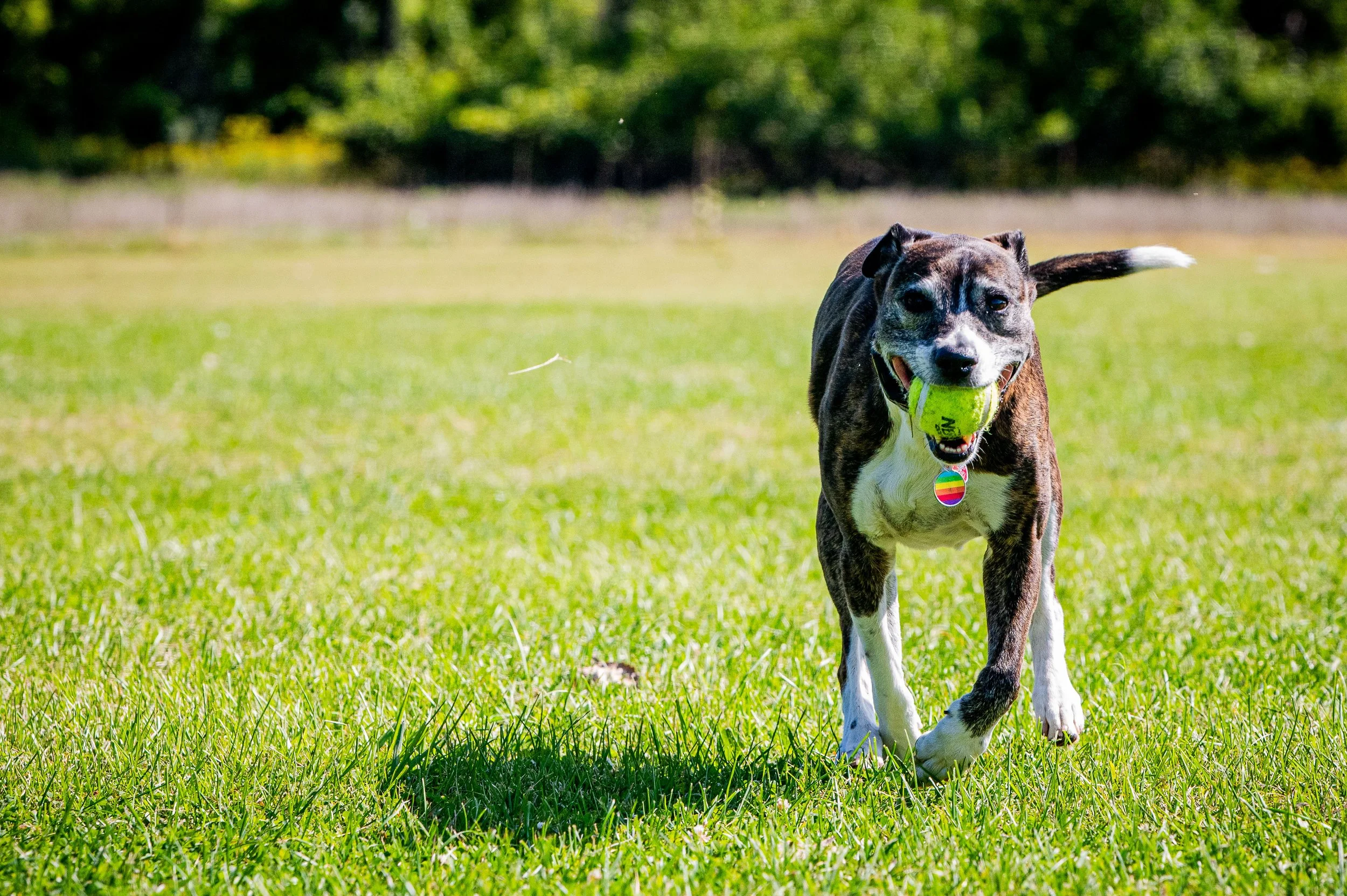 AMVPhotographs.com - AMV_0942.JPG