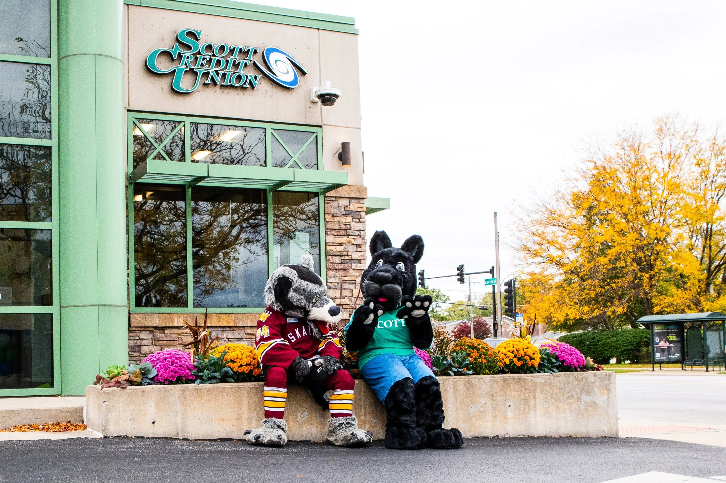 AMVPhotographs.com - AMV_4262.JPG