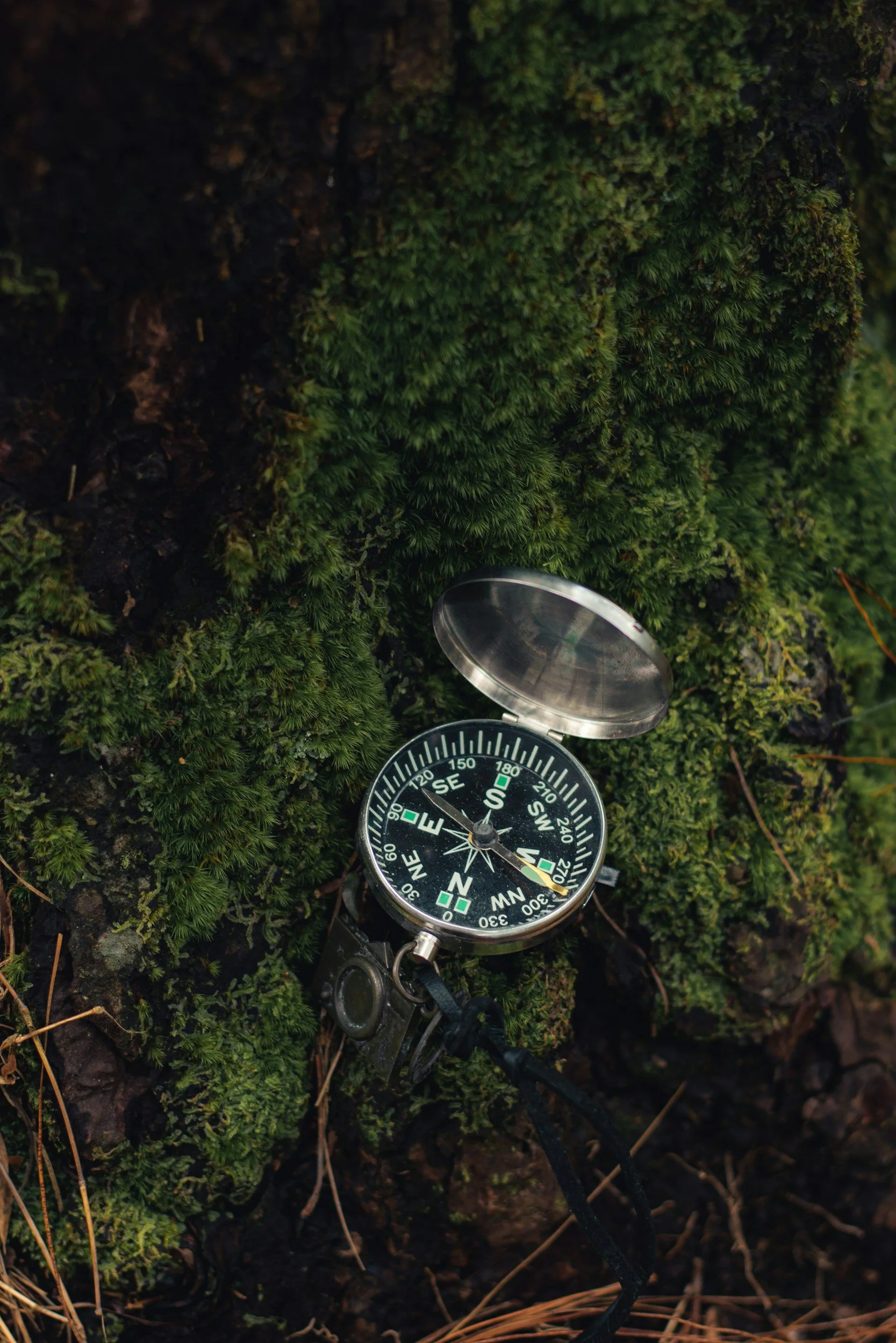 A compass lying on a mound of moss
