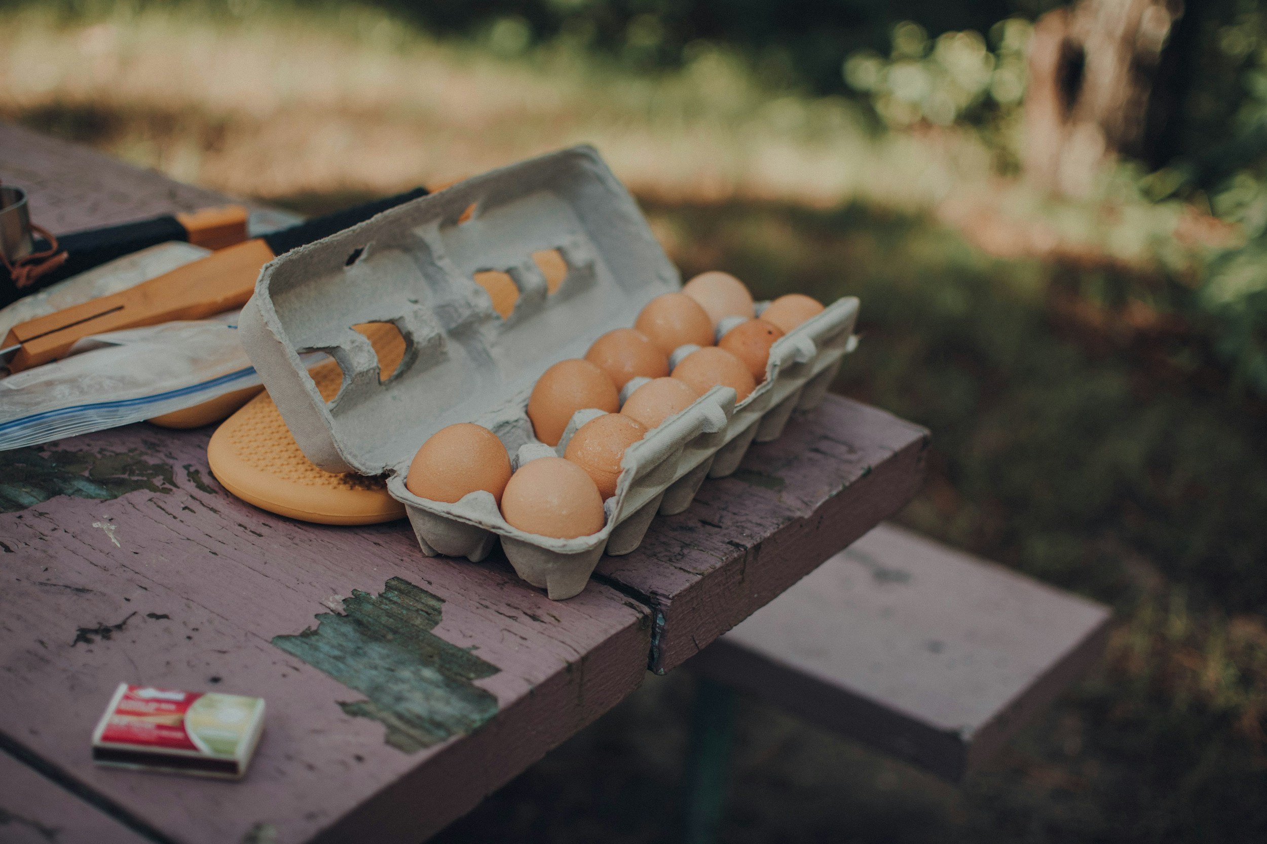 A carton of eggs on a picnic table at a camping site