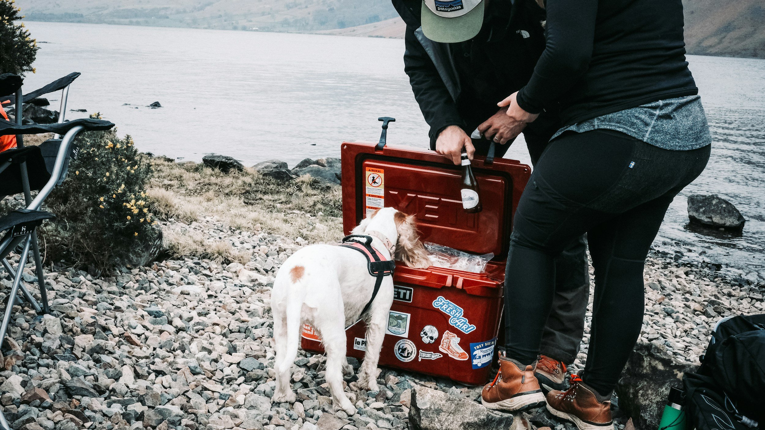 Two people and their dog around a cooler while camping outdoors