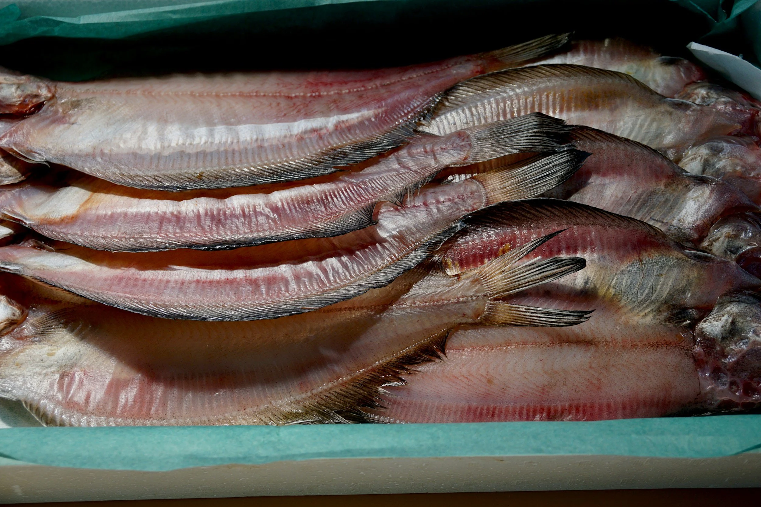 Preparing Fish for the Grill or Smoker