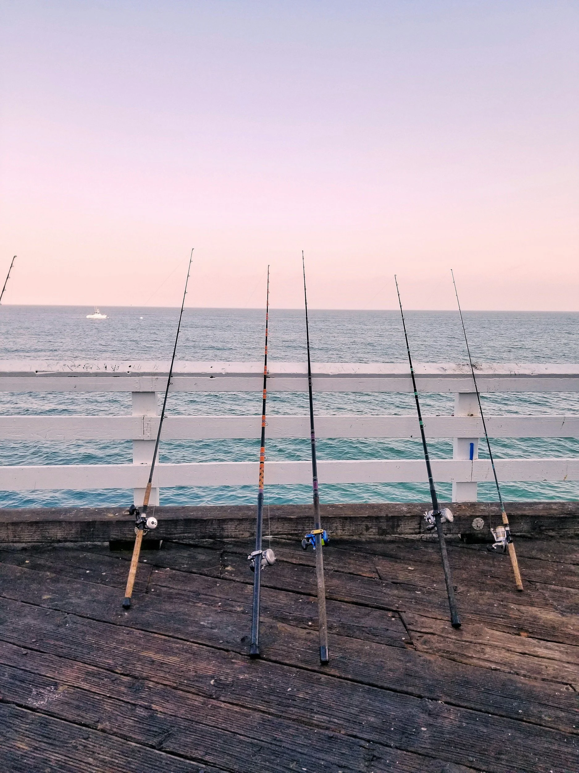 Several fishing rods leaning against a railing