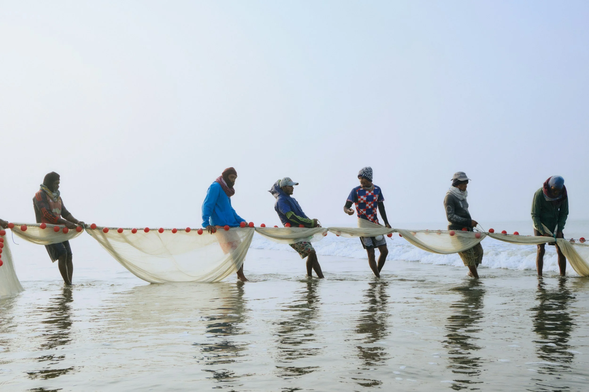 A group of men fishing with a net in shallow water