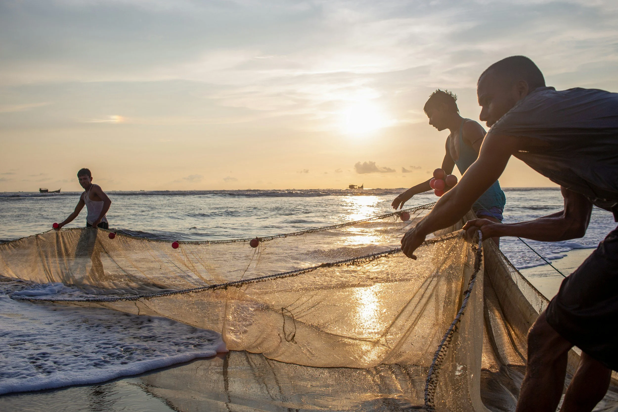 A group of men fishing with a net in the evening