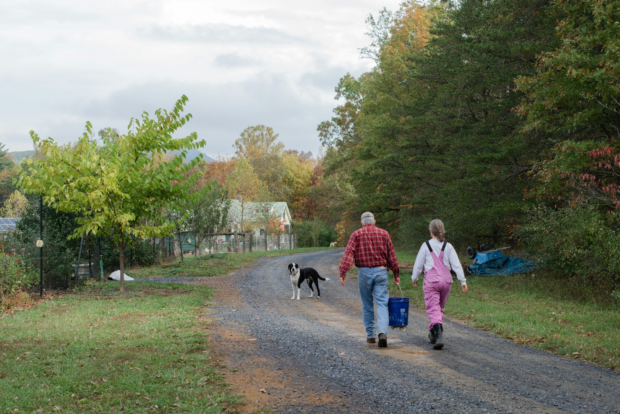 Two people walking down a dirt road of a small farm