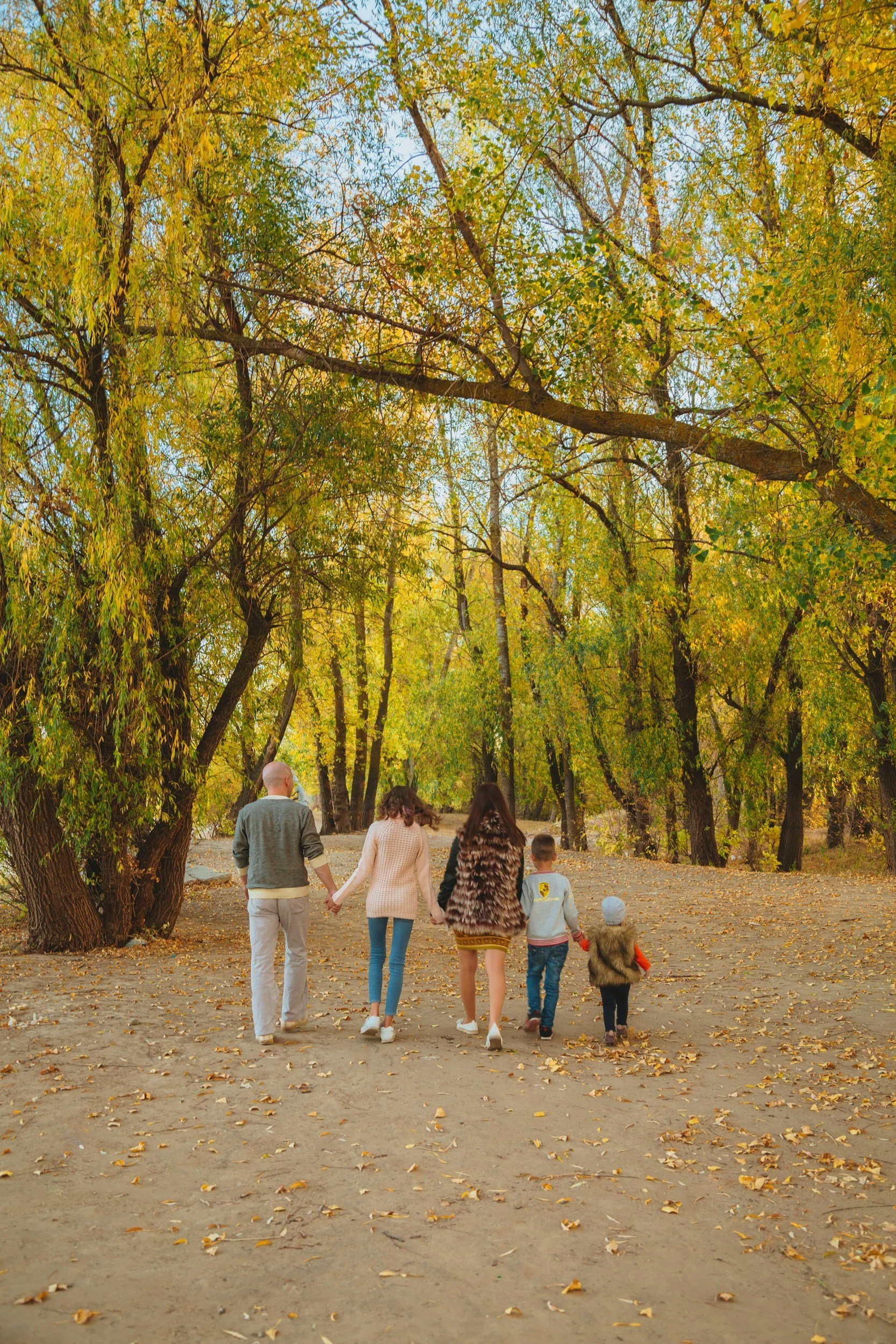 Family walking together on a calm path, symbolizing unity and understanding through therapy
