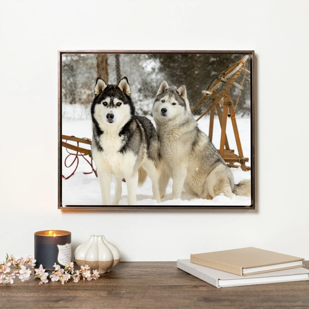 A framed photo of two Siberian Huskies standing in snow with a wooden sled in the background.