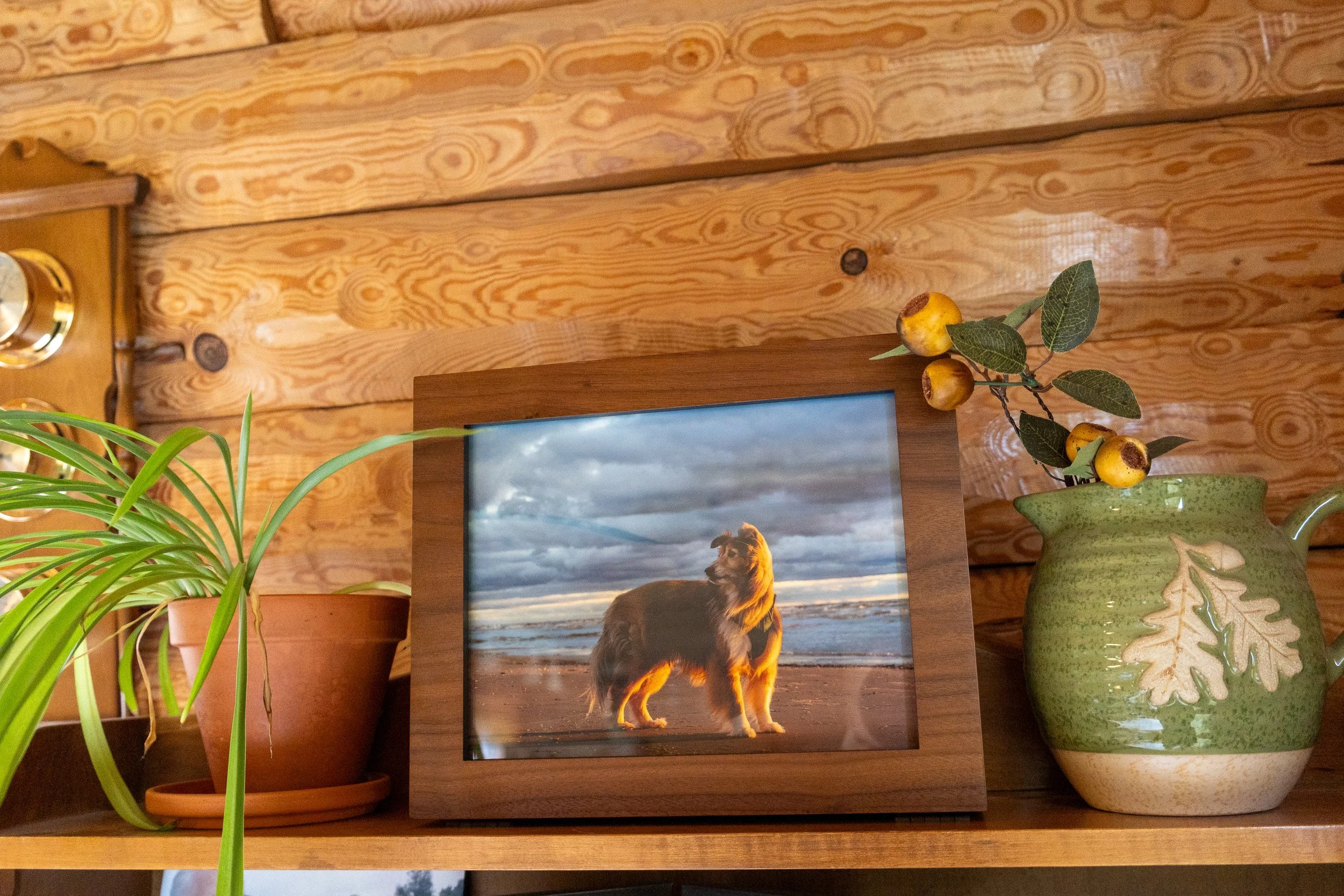 A wooden shelf with a framed photograph of a dog on a beach with dramatic clouds in the background, a potted plant with long green leaves, and a green ceramic vase with yellow berries and green leaves, against a wooden wall.