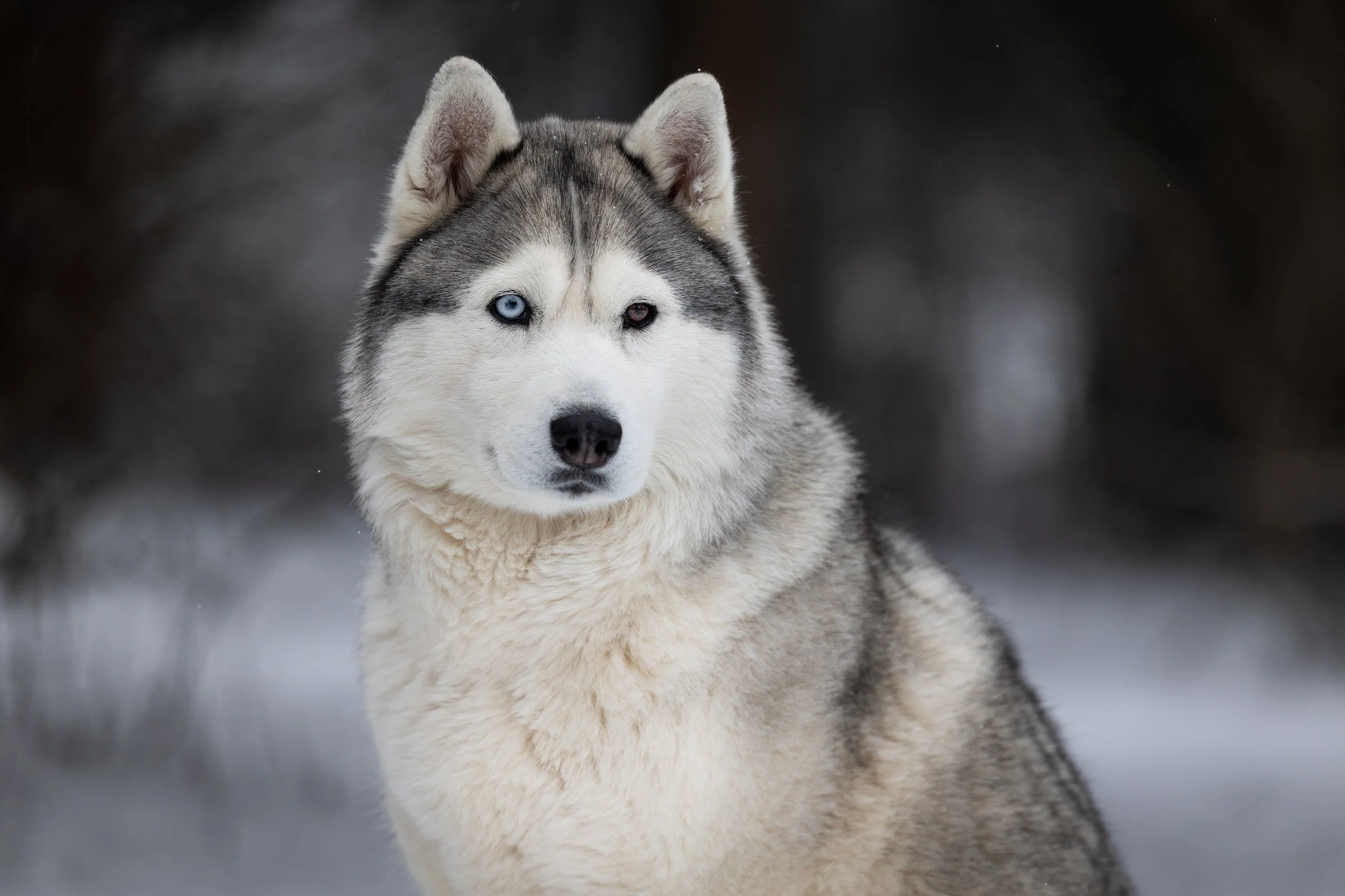 2026_January-RobinHeim 8580-Edit-6.jpg