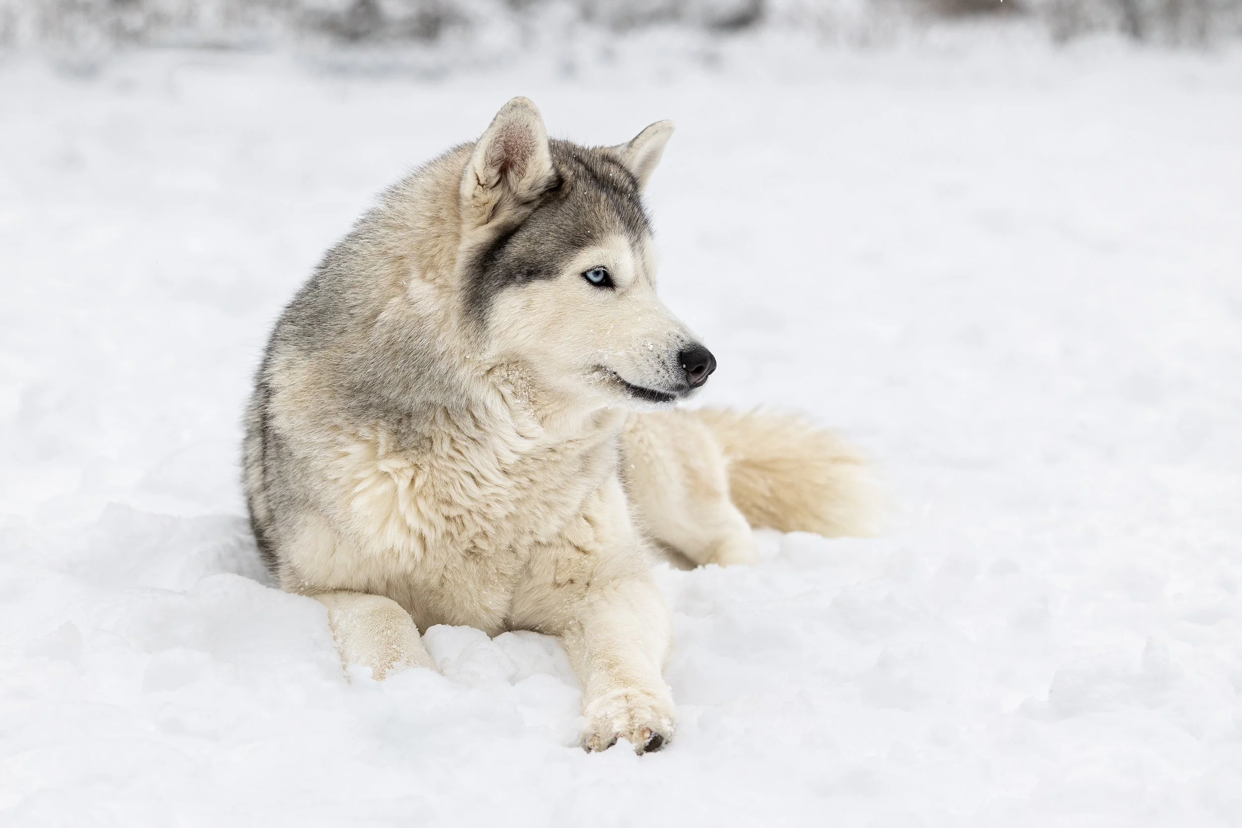 2026_January-RobinHeim 8767-Edit-Edit-13.jpg