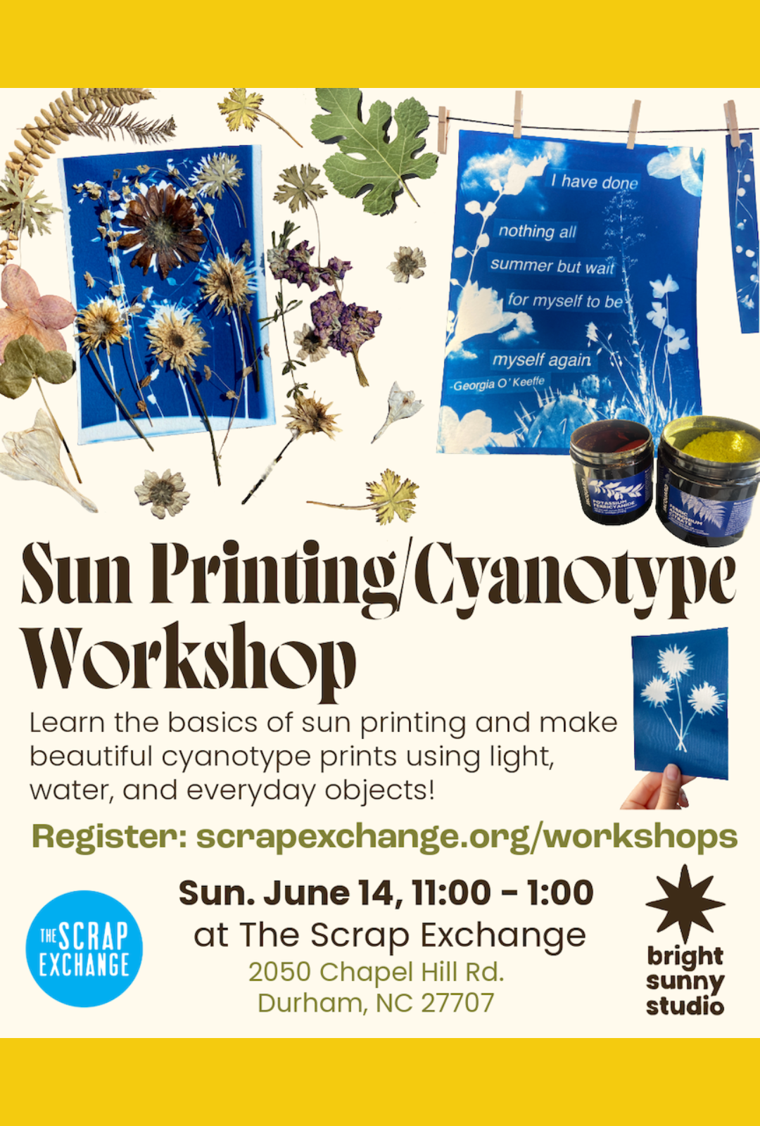 Sun Printing/Cyanotype