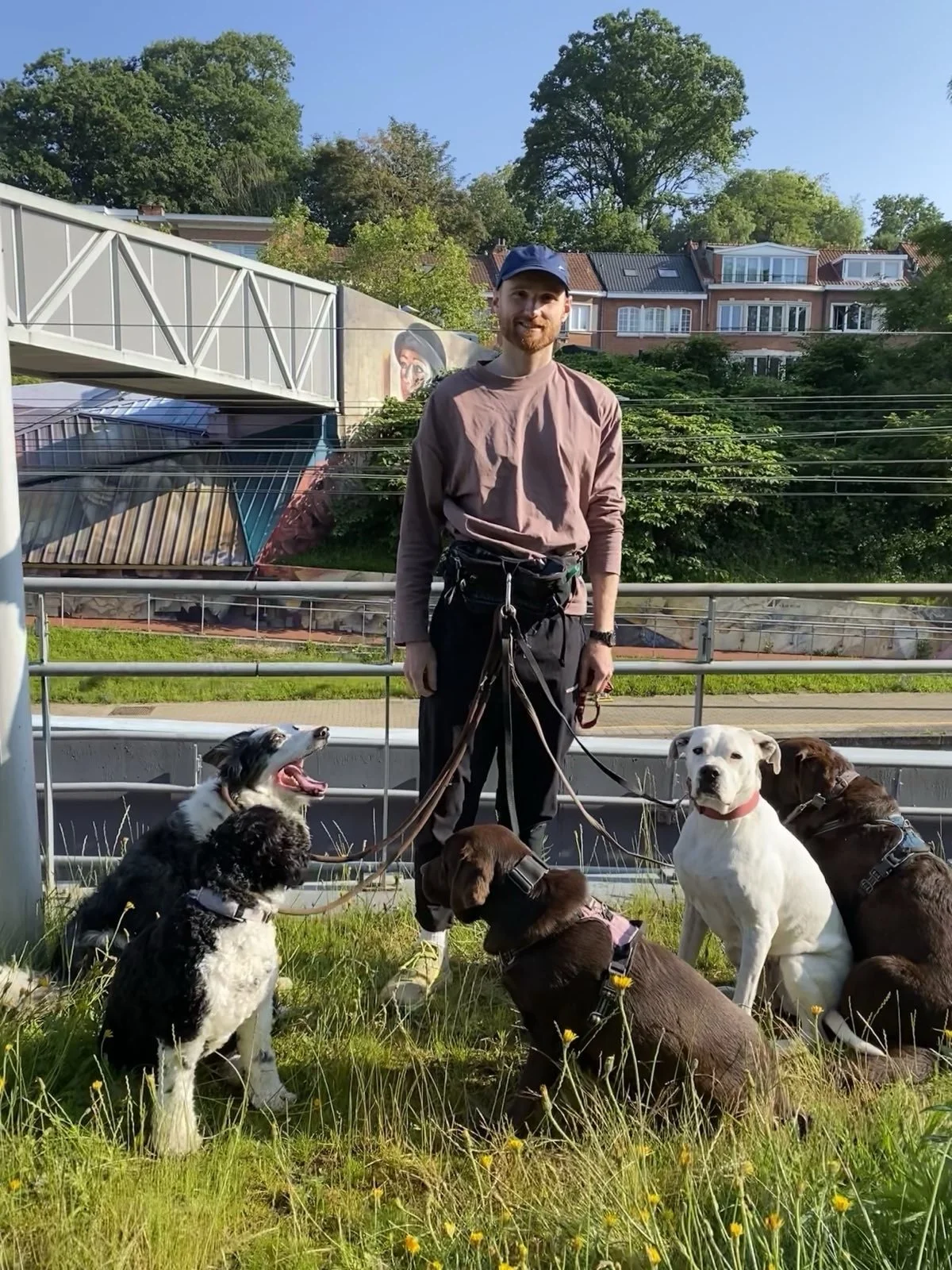A man standing outdoors with six dogs, trees, houses, and a bridge in the background.
