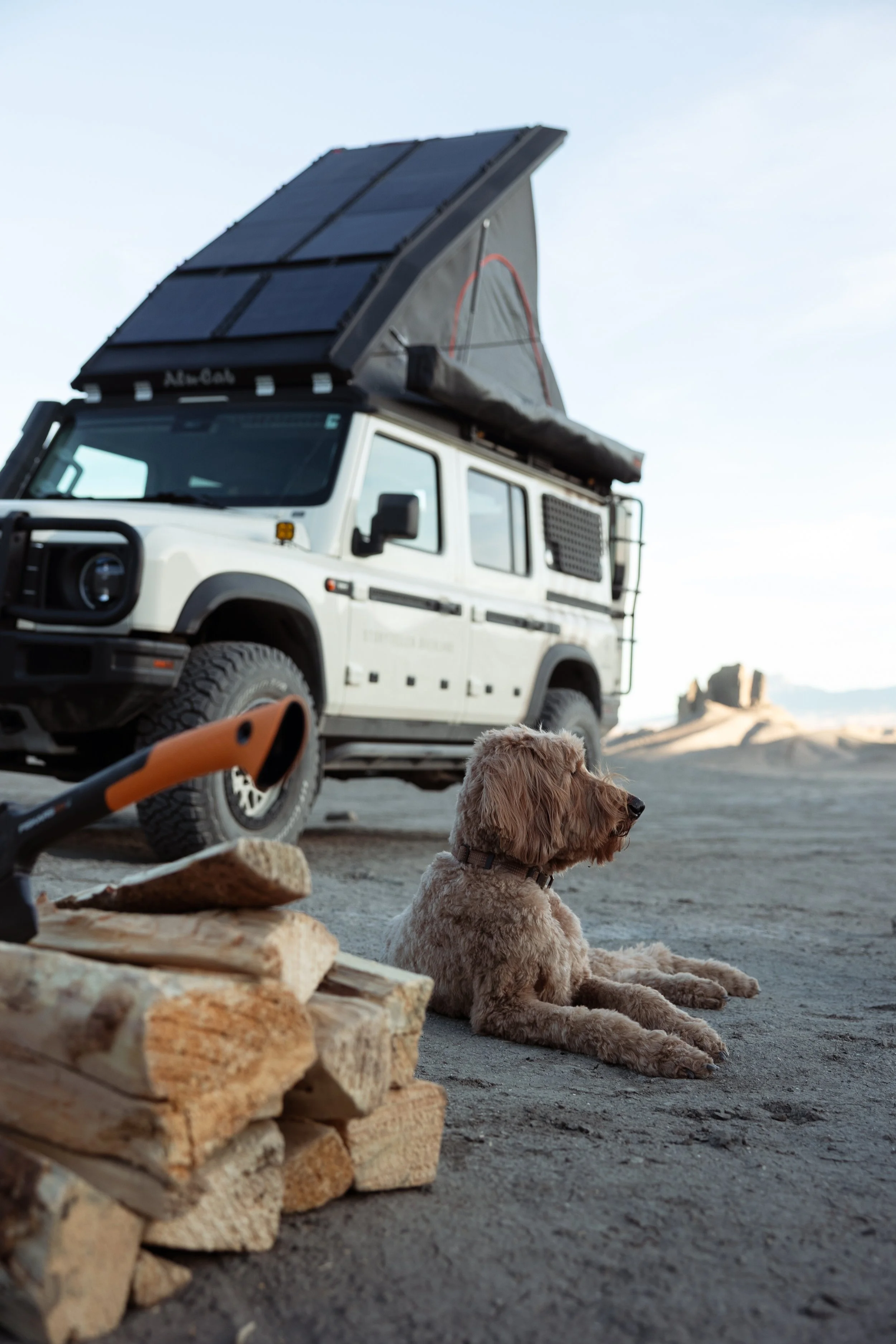 A dog resting on the ground in a desert camping site with a white off-road vehicle equipped with solar panels on top nearby. Firewood and a small axe are also in the scene.