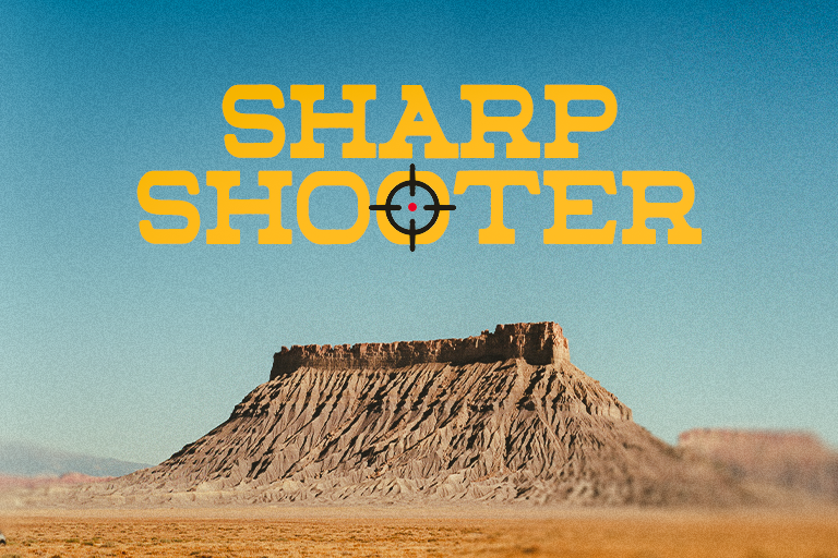 SHARP SHOOTER.png