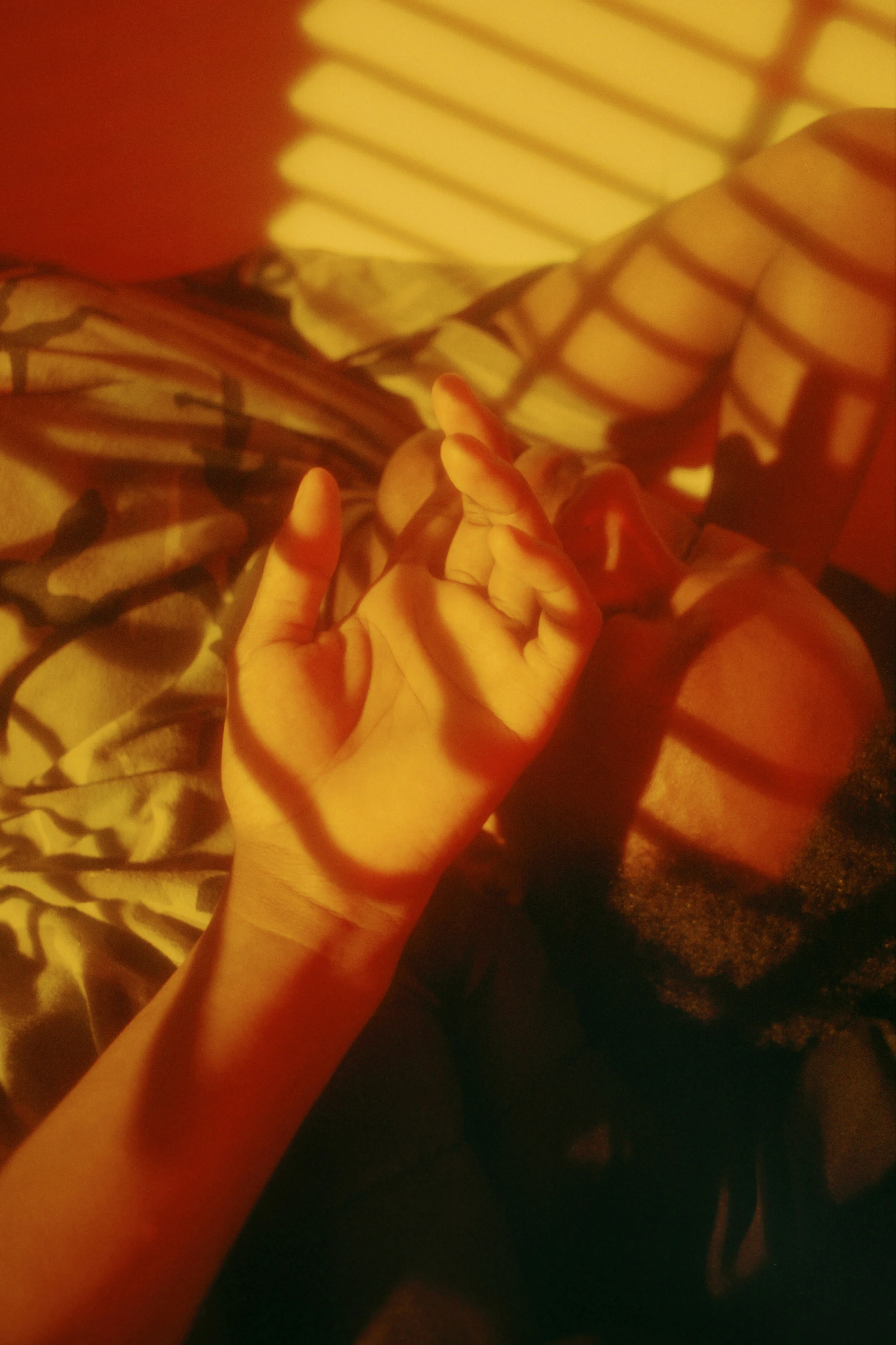 AJRADICO_P800_01_6CROP.jpg
