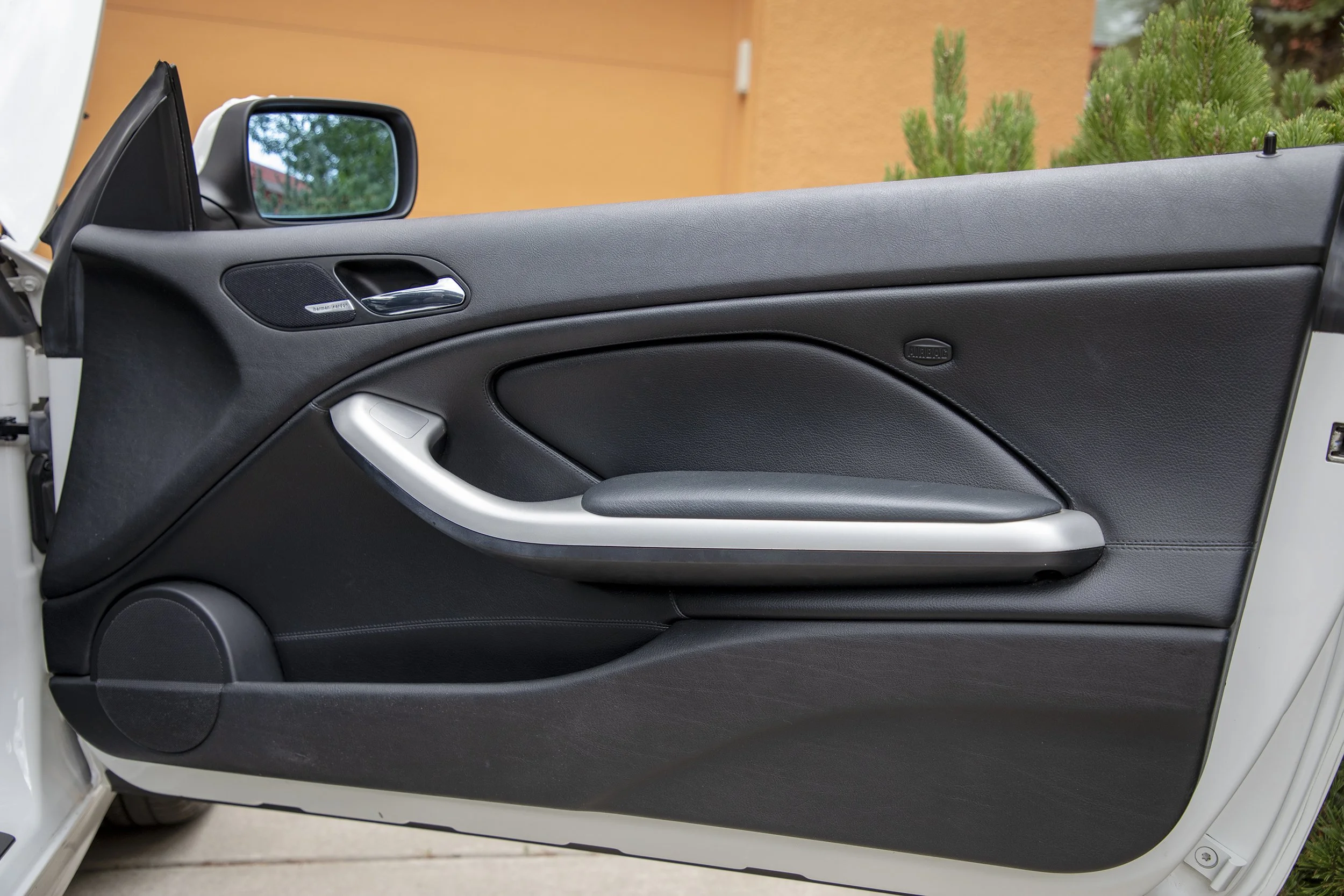Passenger Door copy.jpg