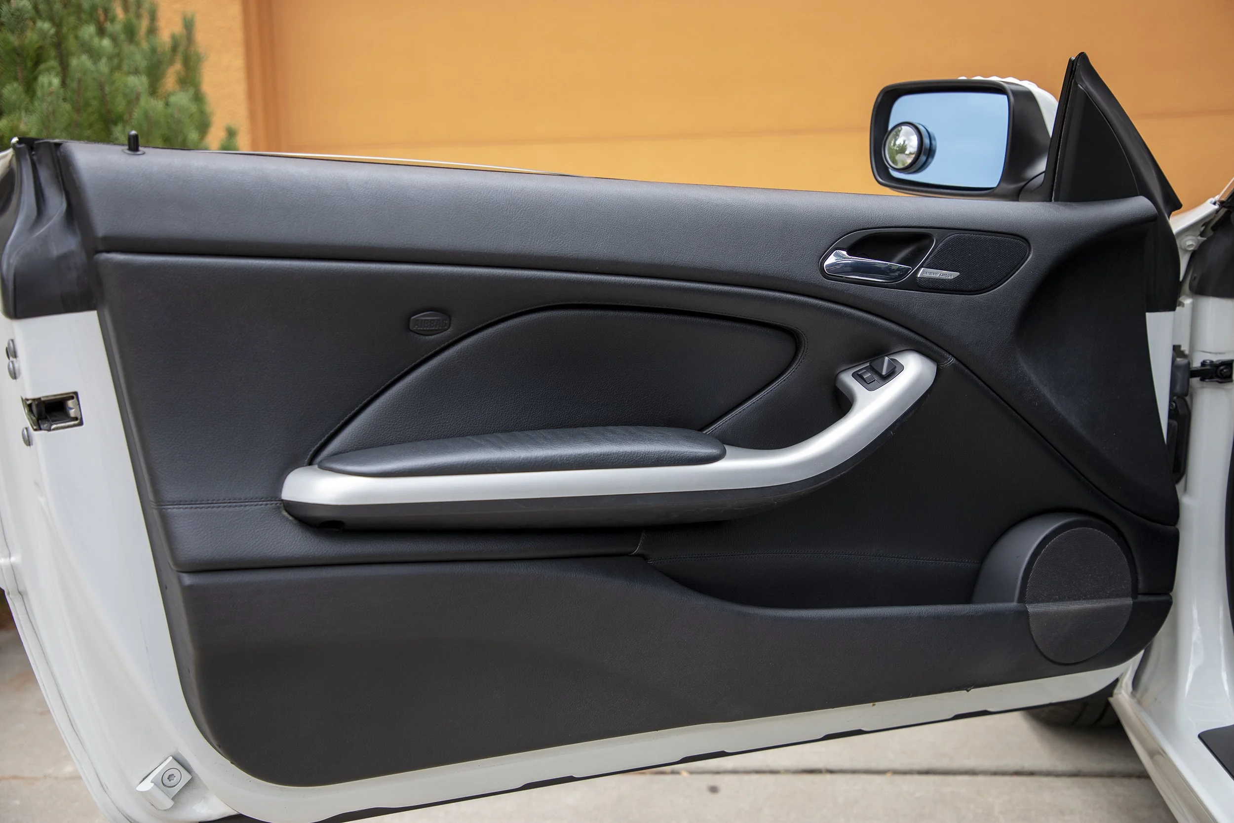 Driver Door copy.jpg