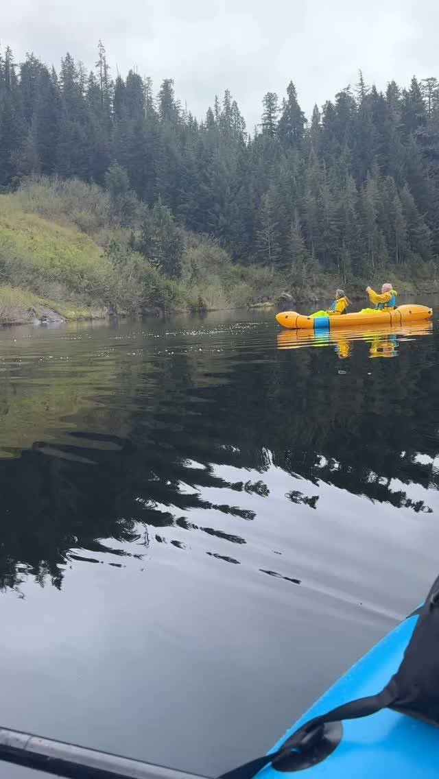 Got to love seeing wildlife while Flyaking! On our trip yesterday this bear came down the ice field while we were enjoying the cool breeze and scenery in the Misty Fjords. #alaskacruise #alaska #travelalaska #mistyfjords #alaskalove #sharingalaska #a