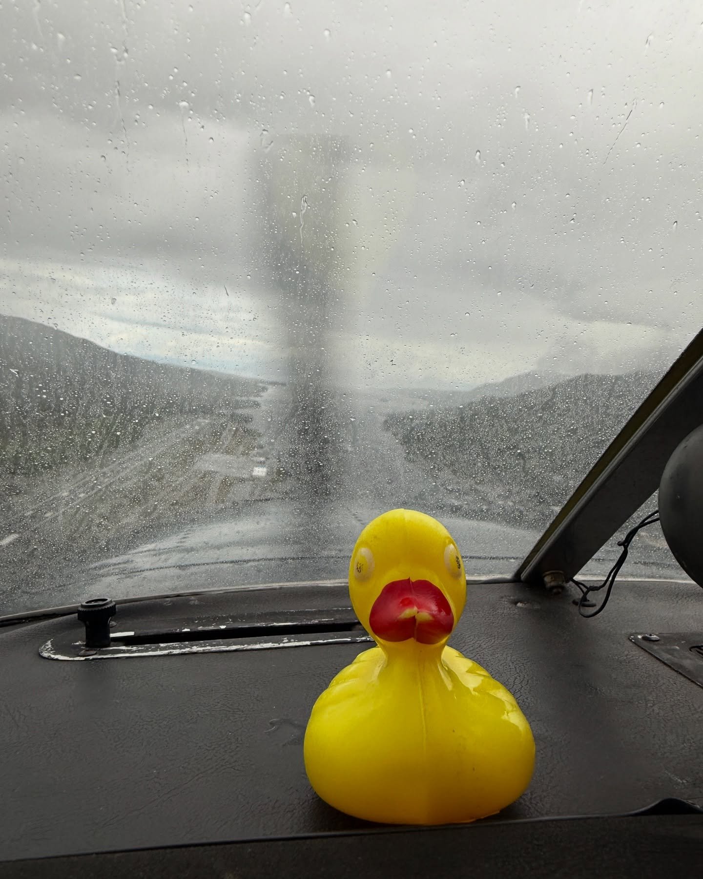 @rotary_ketchikan_first_city we have one of your rubber duckies, if you ever want to see it again leave 1lb of ground coffee from the green bean under the Family Air Tours Van by Friday morning and we will disclose the location. Don’t be a hero