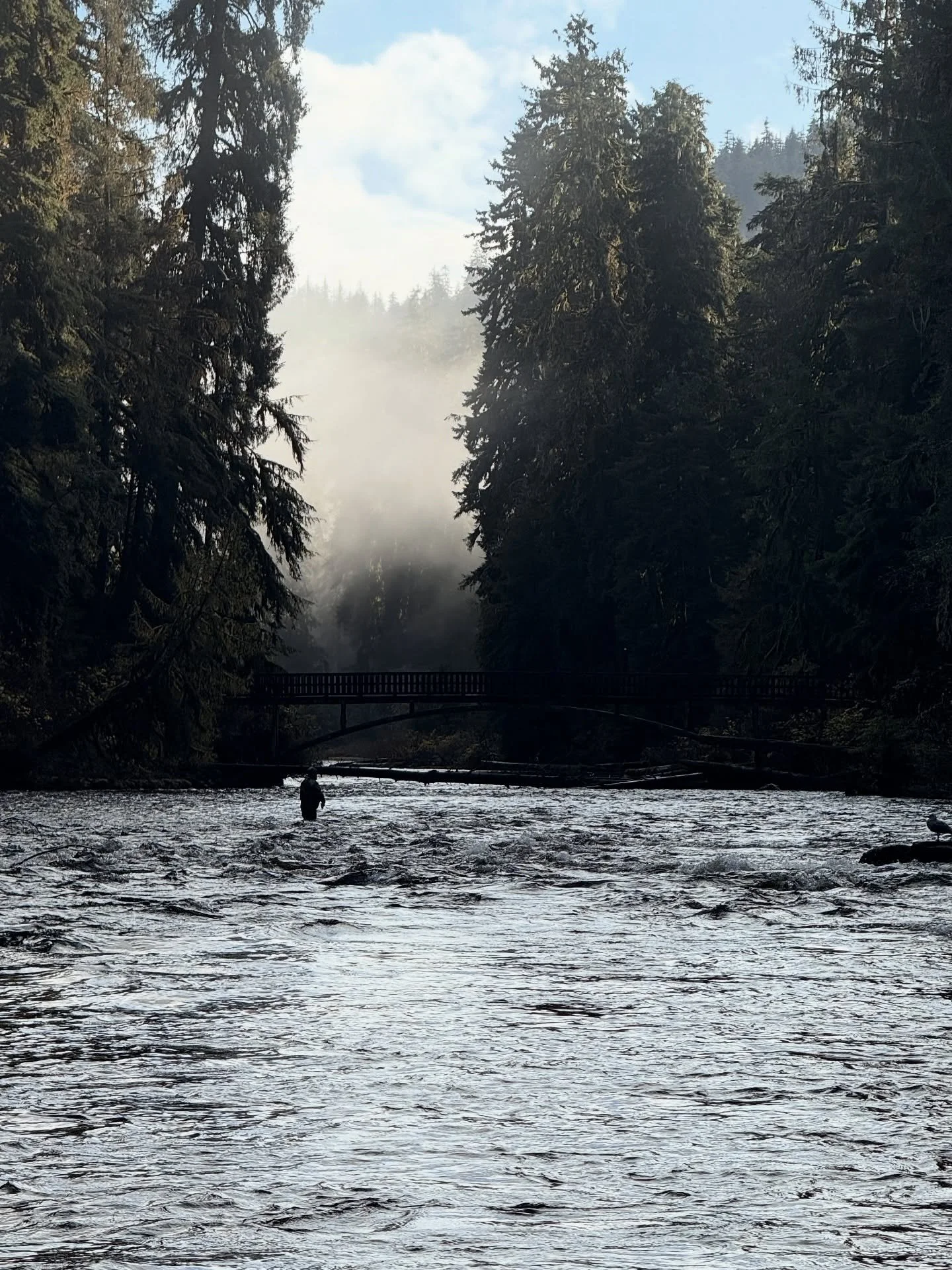 Steelhead 2025 was a success, and a perfect finish to the 2025 season. We are lucky enough to open and close the season in southeast Alaska with amazing steelhead runs in the Tongass. If you want to have a cabin experience and fish in one of the worl
