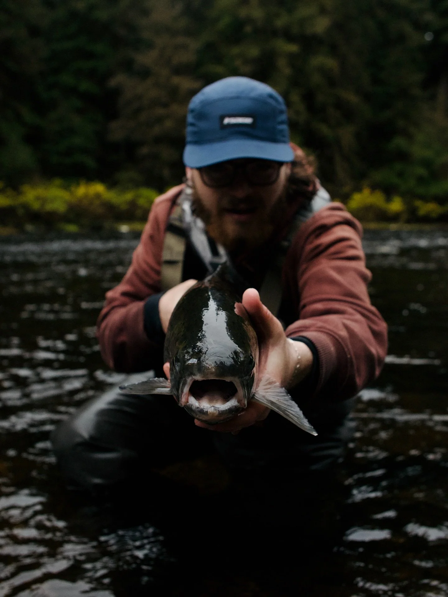 The end of summer season means one thing, the beginning of steelhead season. From October to May you can find steelhead running in the streams around Ketchikan. If you swing by the shop on Saturdays we can help get you set up to catch steelhead on fl