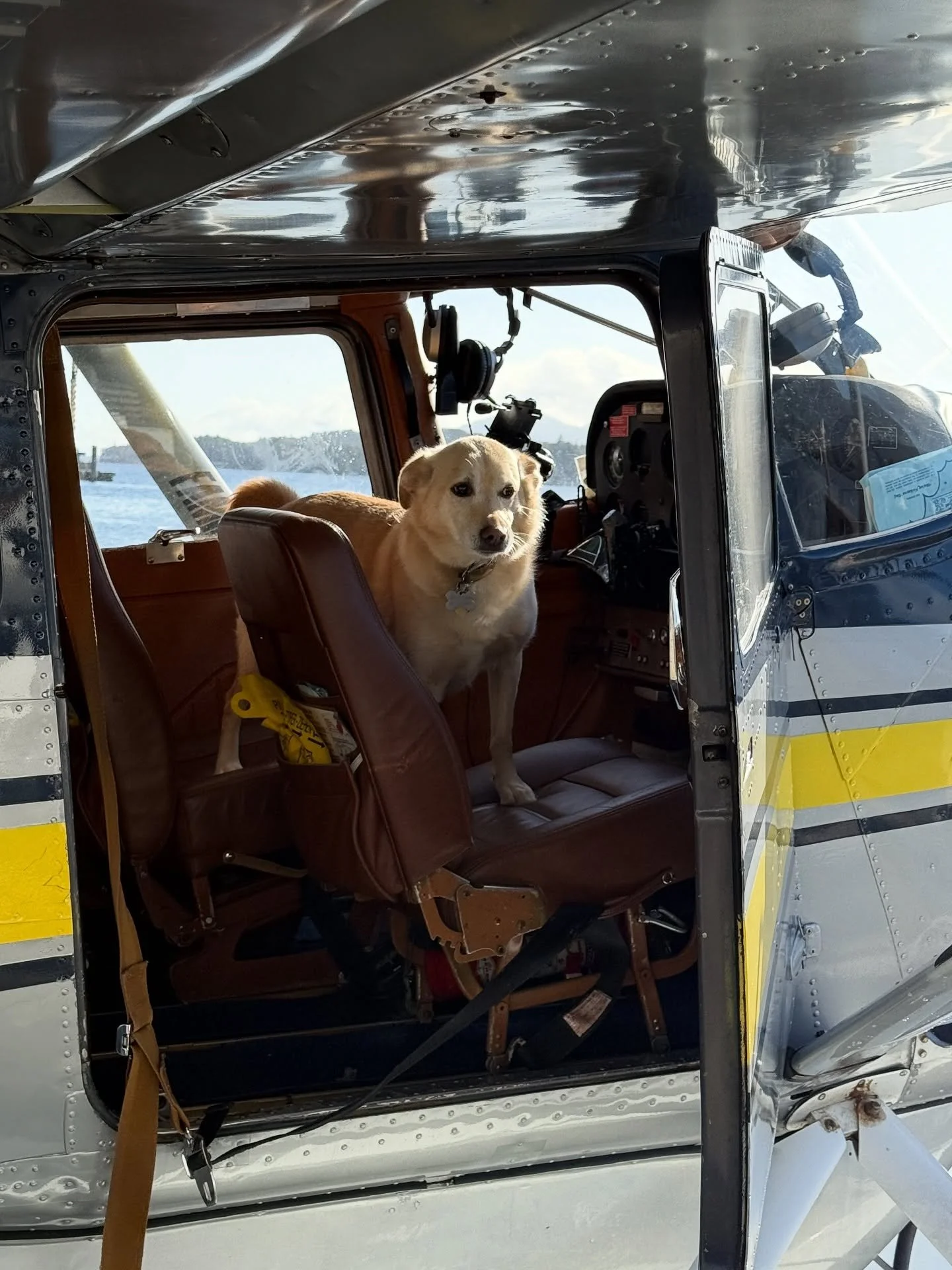 If you&rsquo;re traveling with a dog, you&rsquo;re in the right place. We&rsquo;re a dog-friendly carrier, and we&rsquo;re always happy to get you and your four-legged co-pilot out into the Alaska backcountry. Whether it&rsquo;s a cabin drop-off, a f