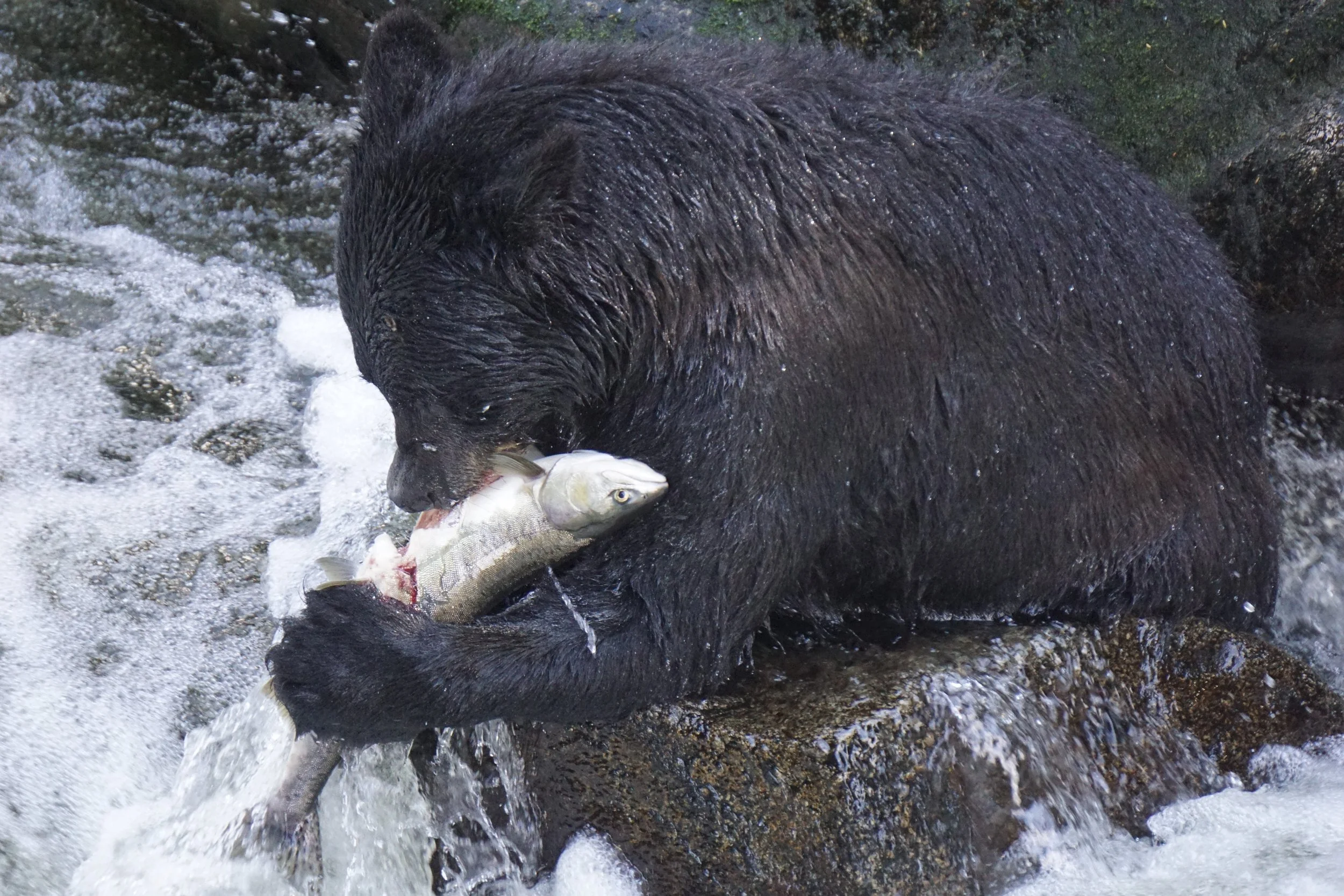 DSC05230_edited.jpg