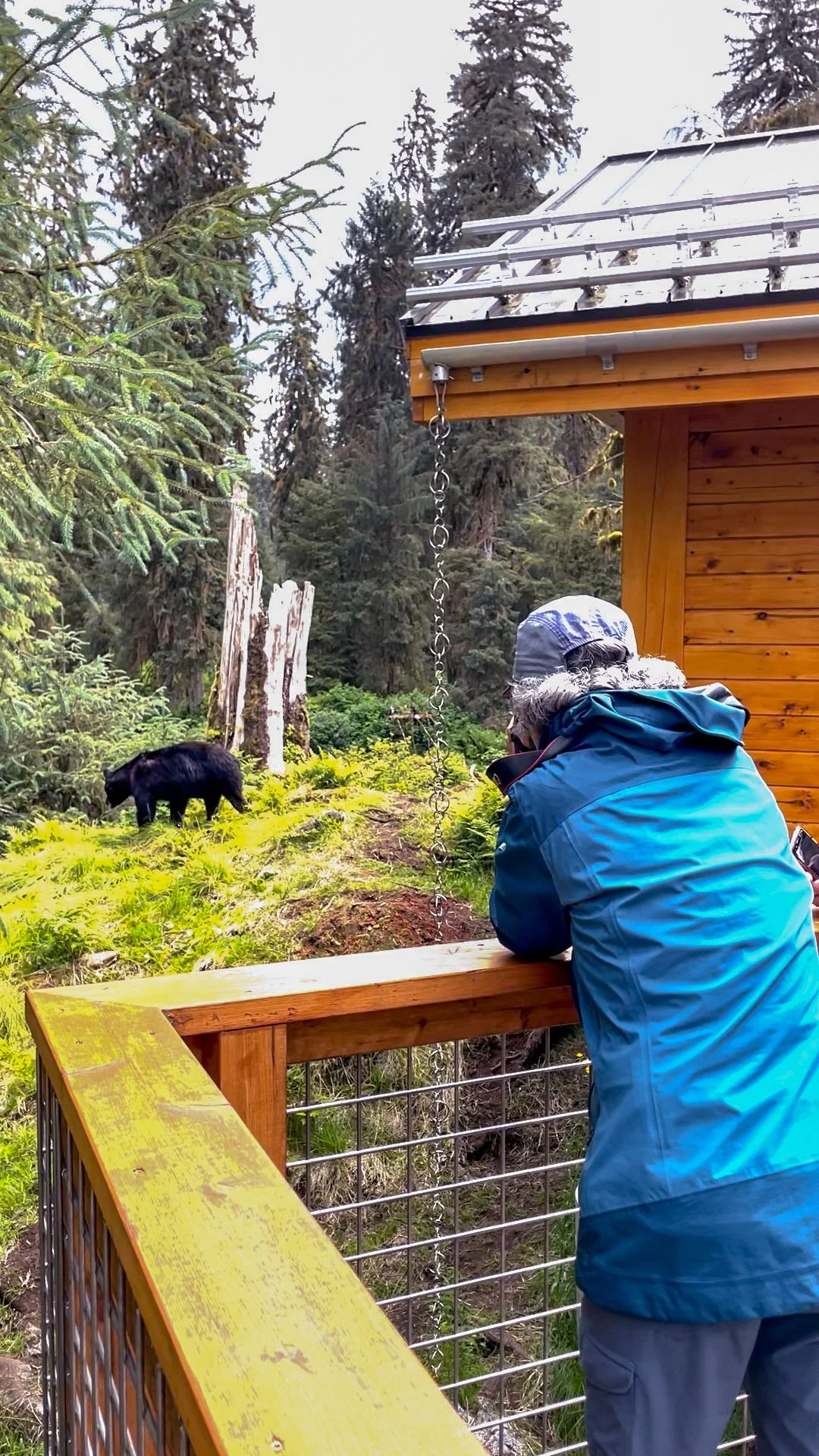 Bear next to platform_edited.jpg