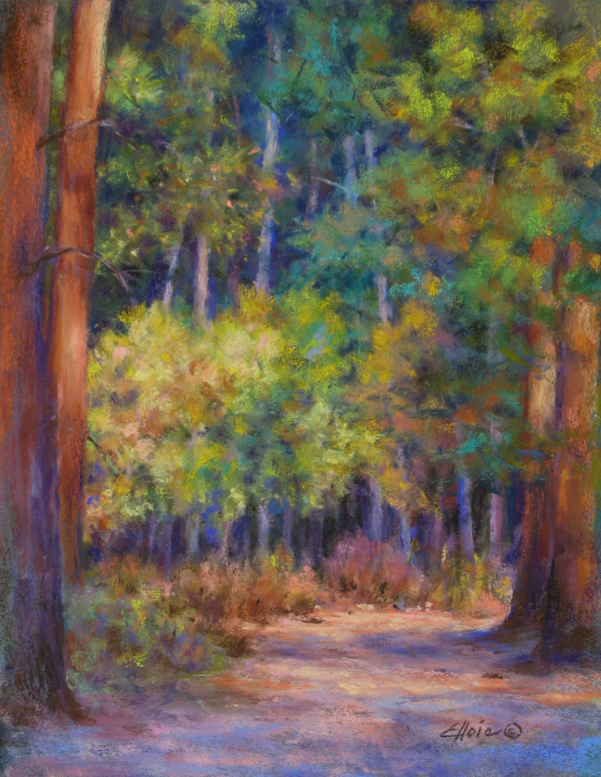 A Walk in the Woods  14 x 11
