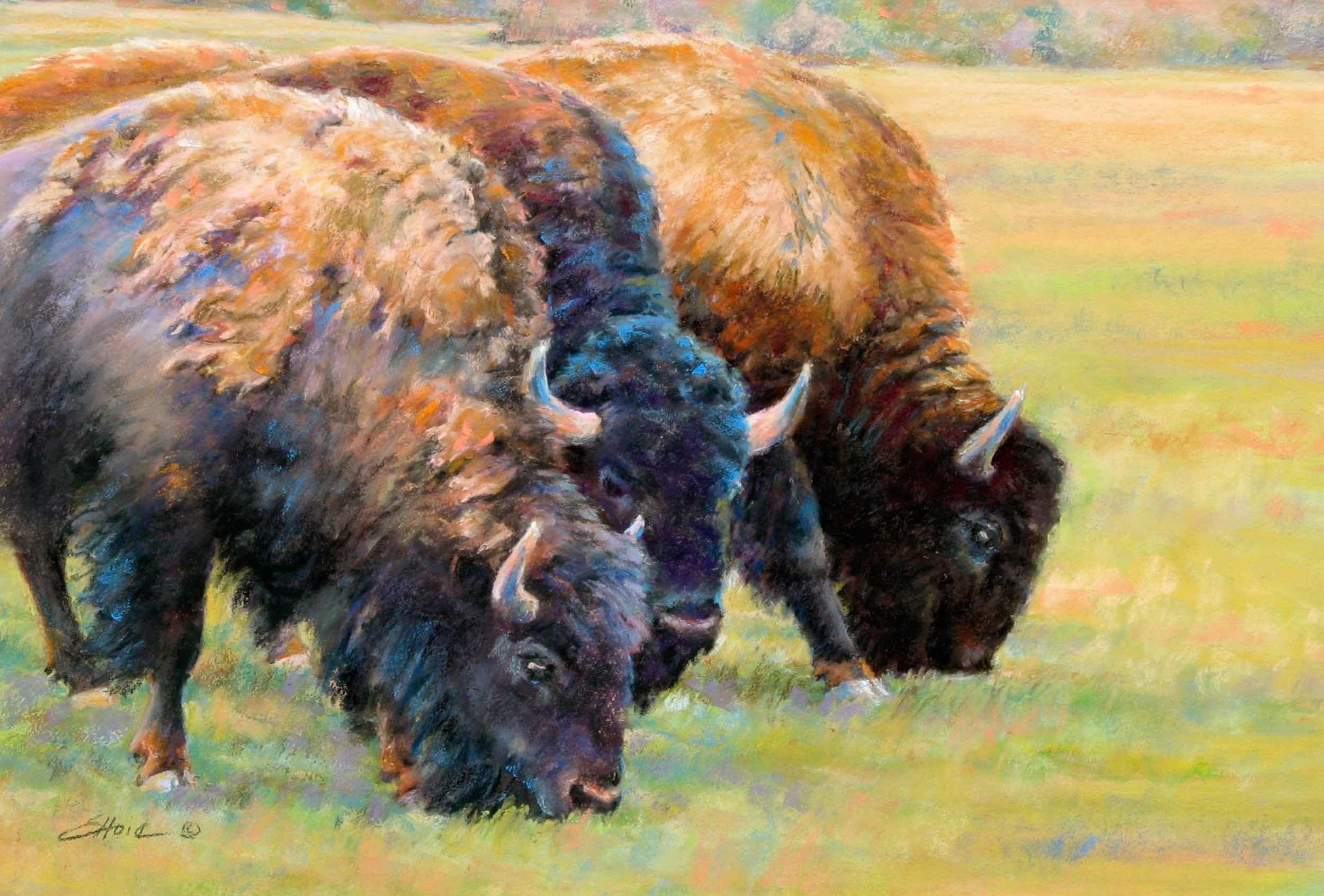 Bison Quartet