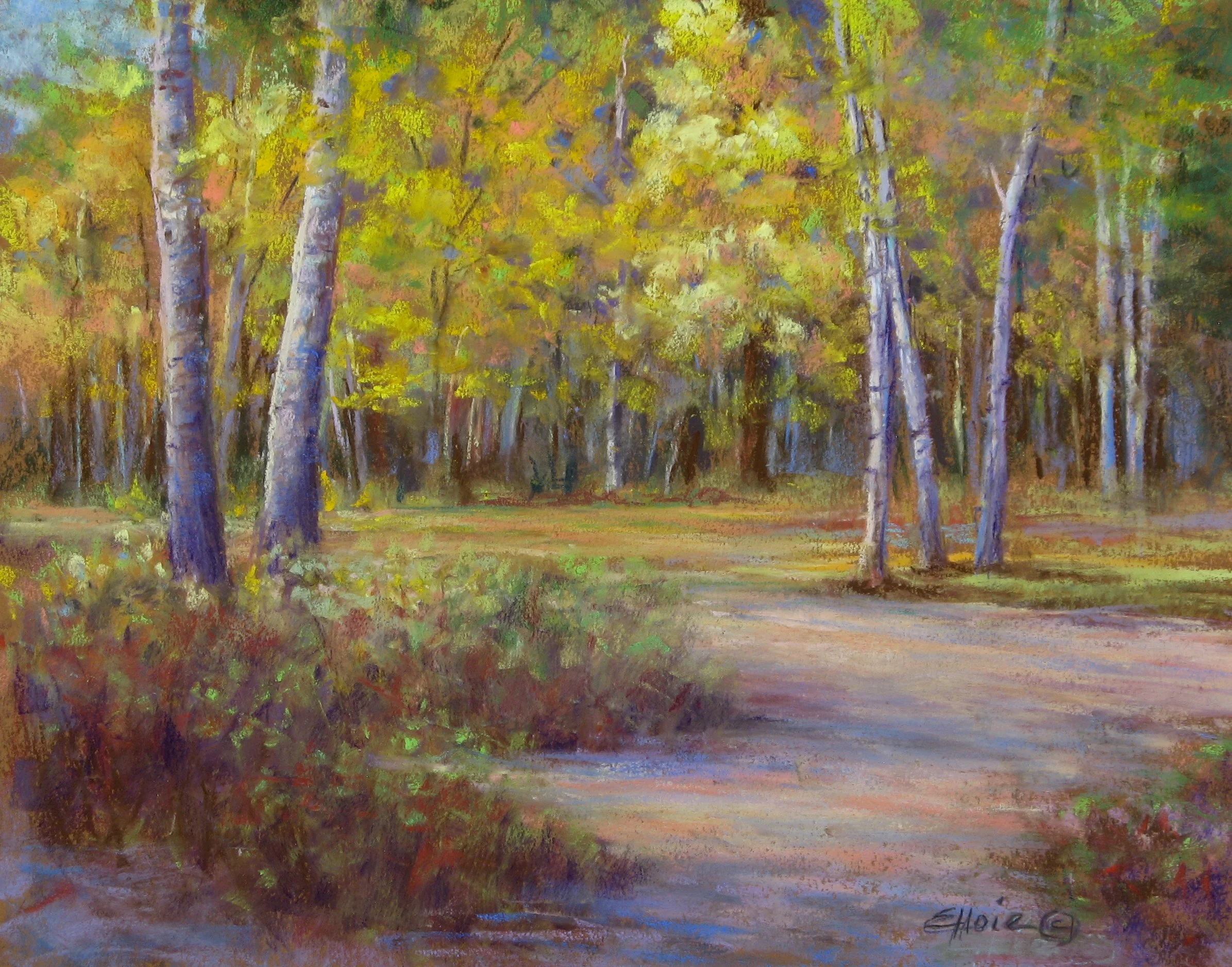 Sunlit Aspens  11 x 14