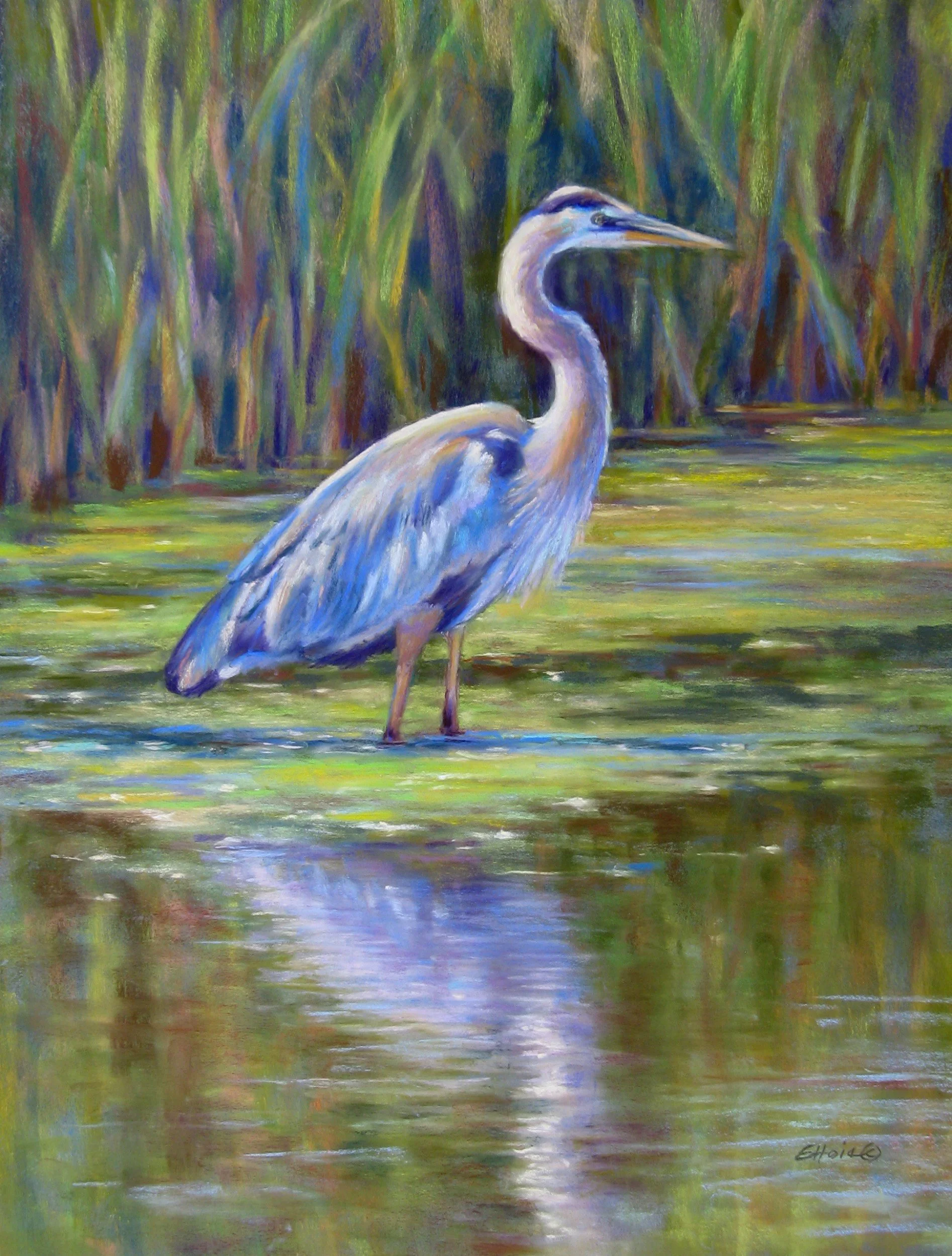 Great Blue  24x18