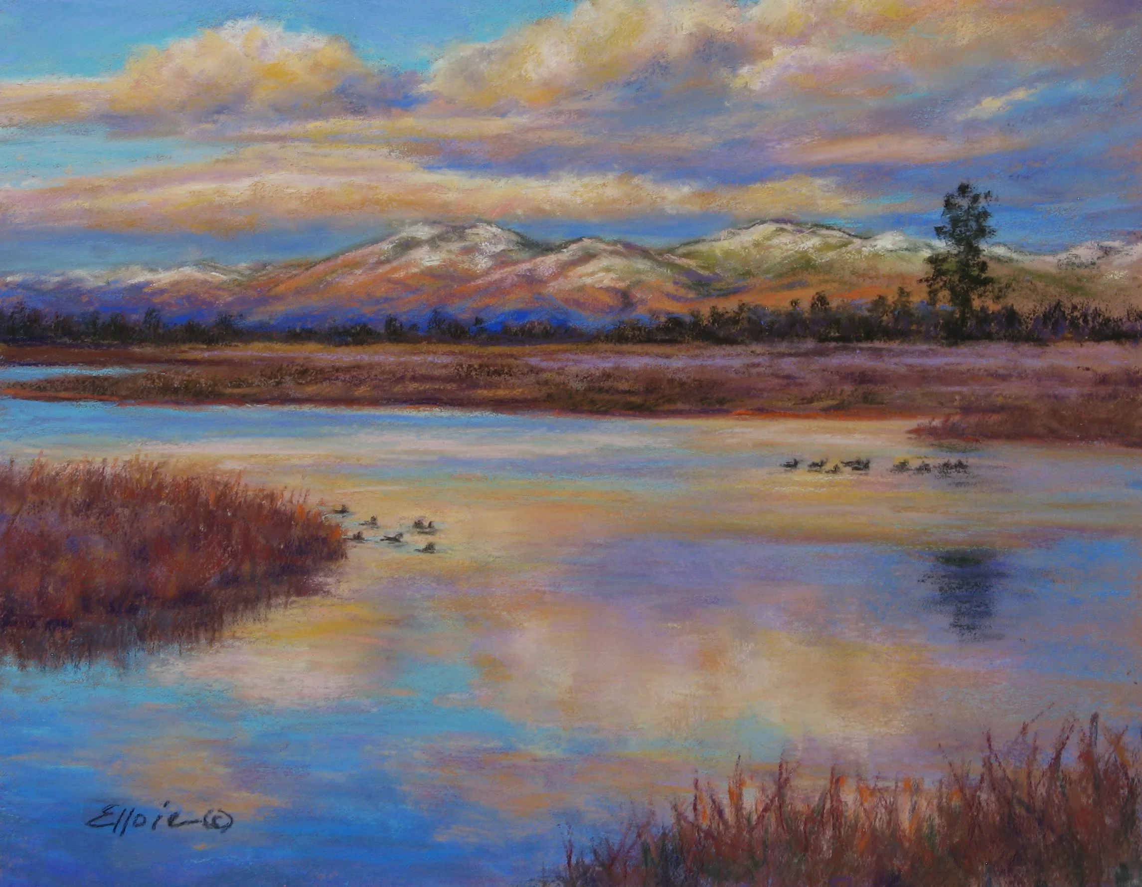 Wildfowl Evening  11 x 14