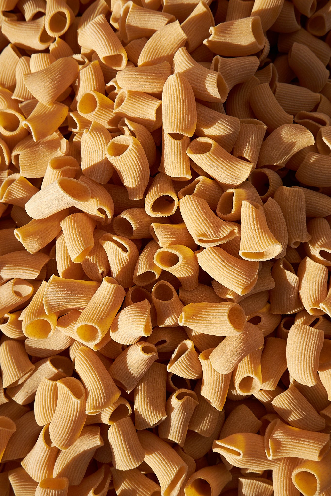 PASTA PASTA_COLORIZED_133.jpg