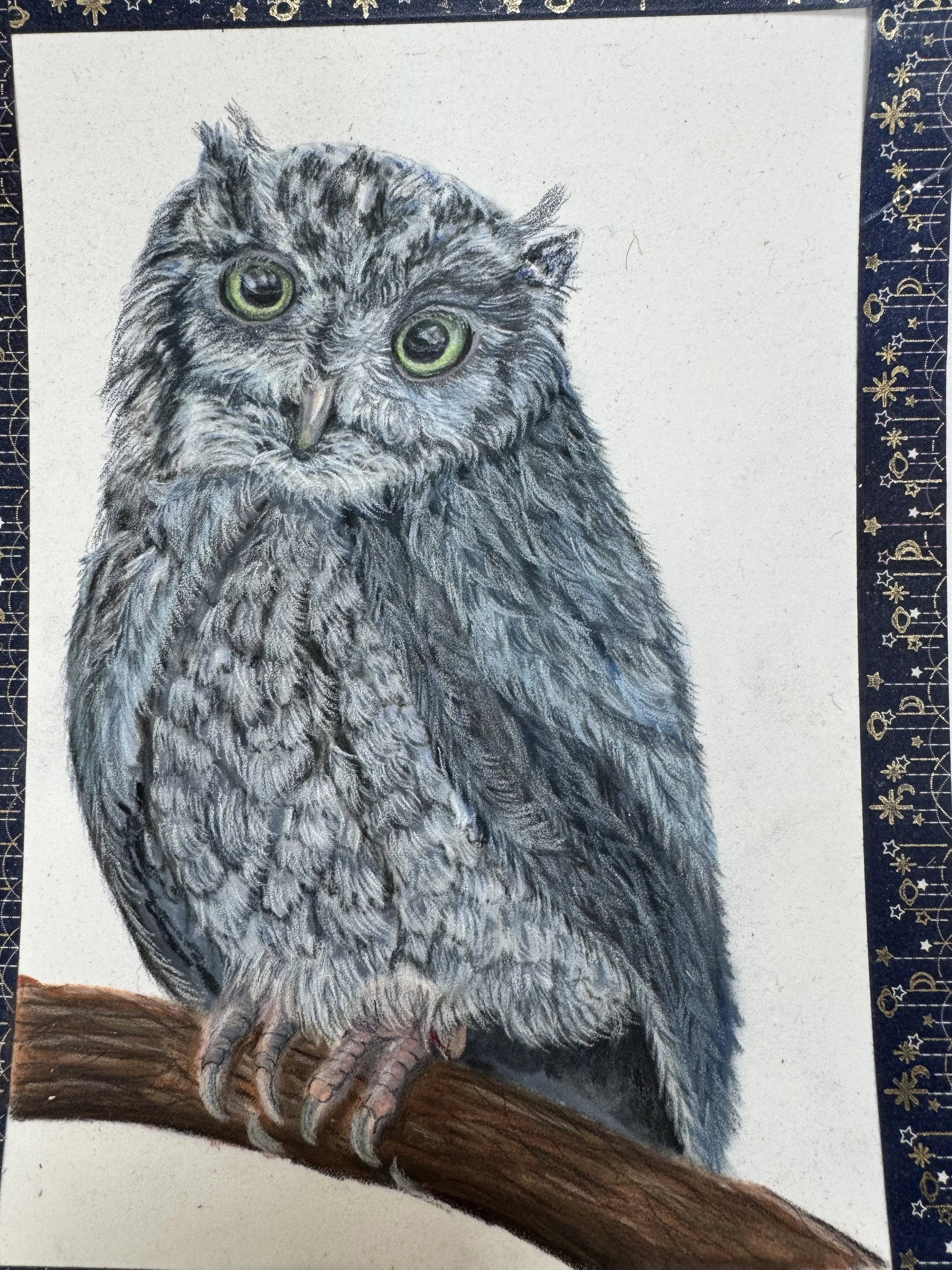 IMG_8377 - Copy.jpeg