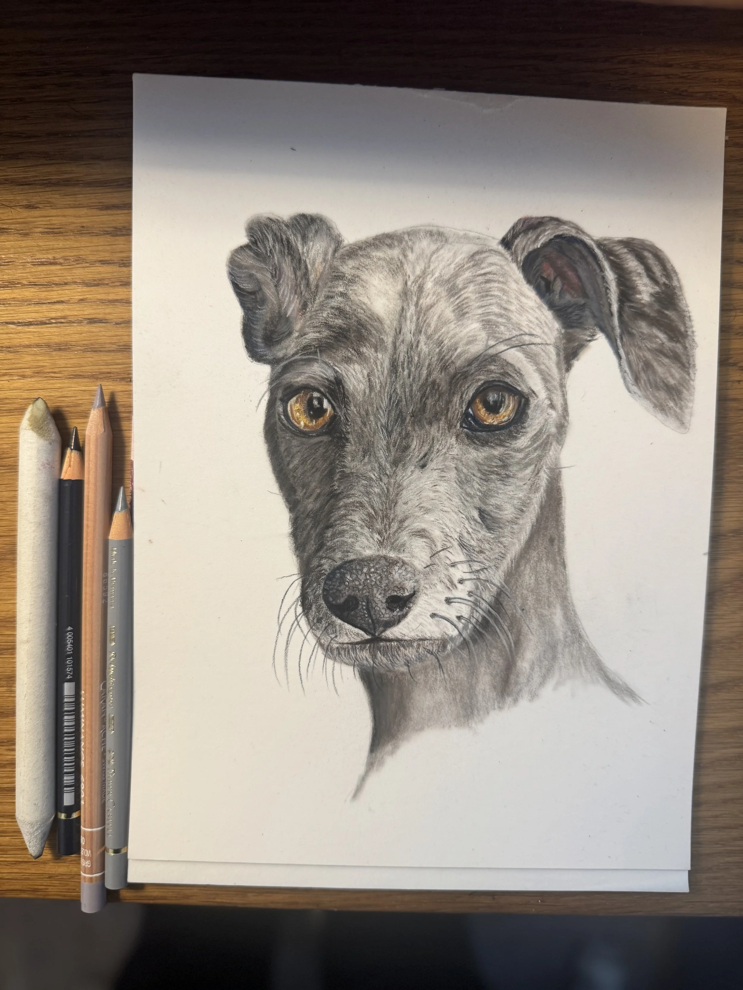 IMG_7098 - Copy.jpeg