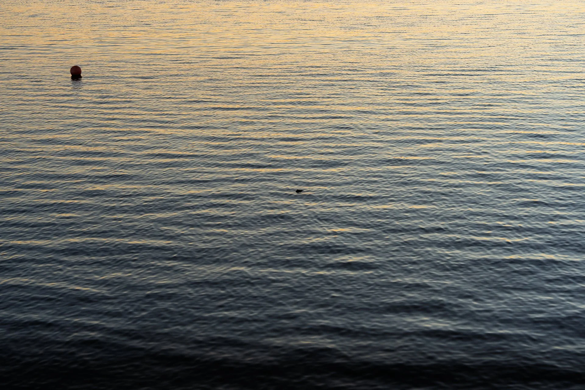 011326_4508.jpg
