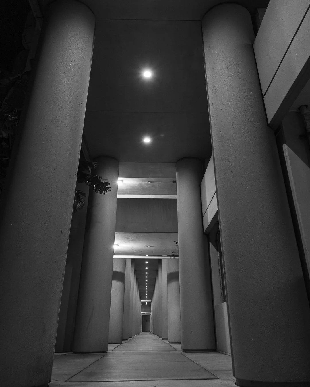 SMF01180-2.jpg
