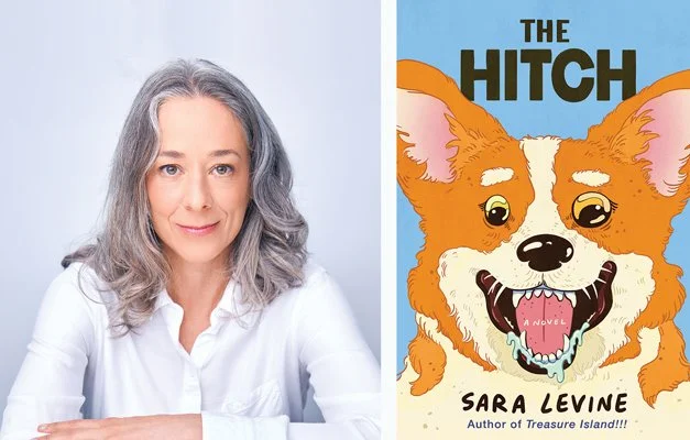 The Hitch by Sara Levine