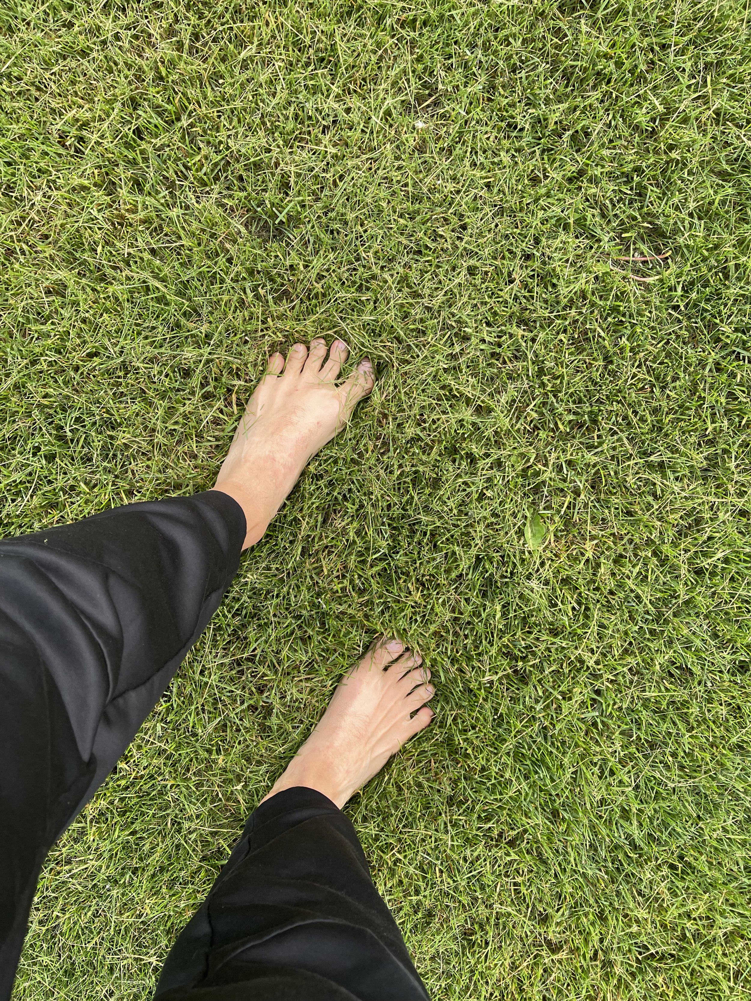 The Benefits of Barefoot Grounding in the Grass