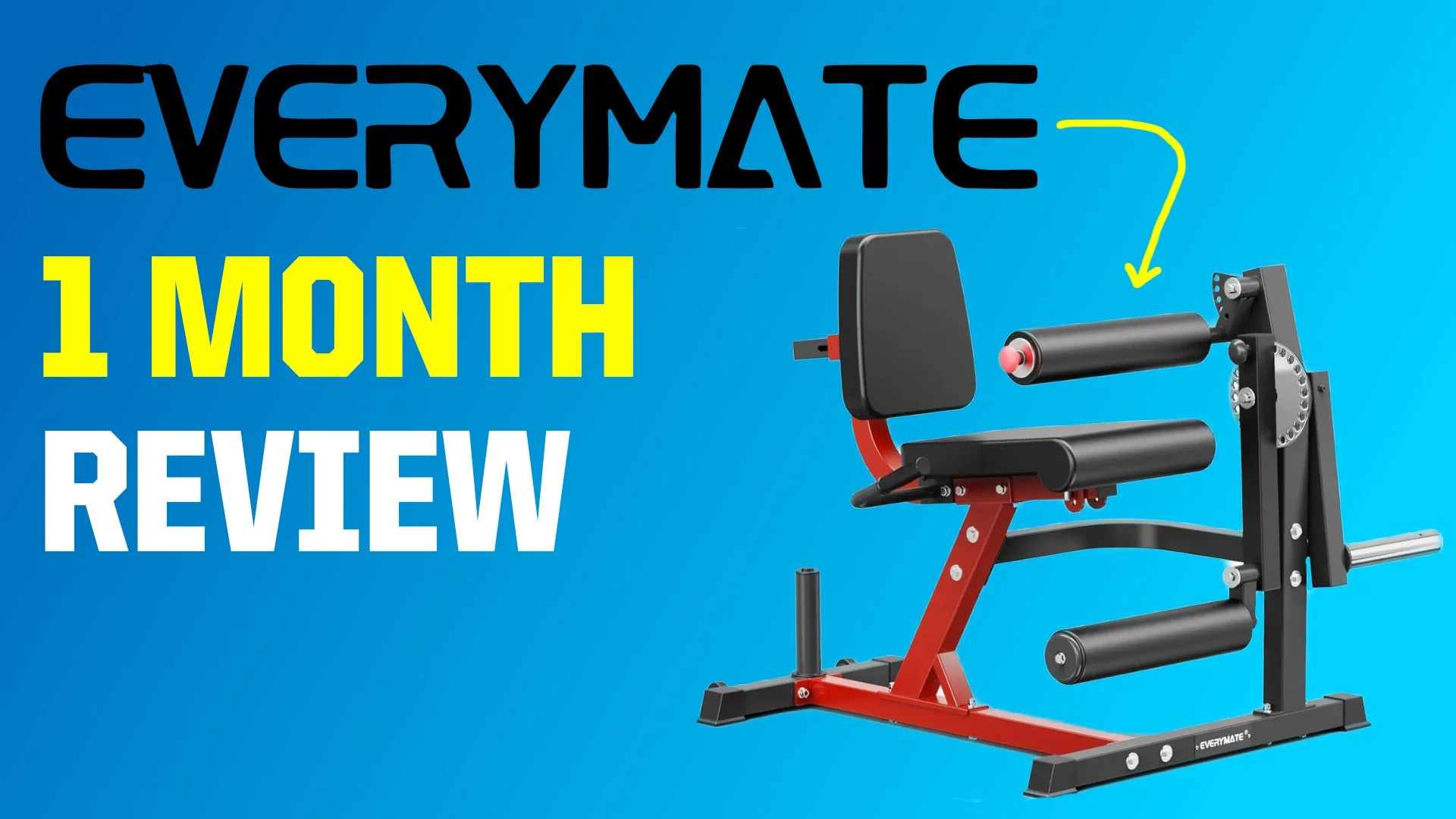 Everymate Leg Extension and Curl Machine Review: Is It Worth the Floor Space?